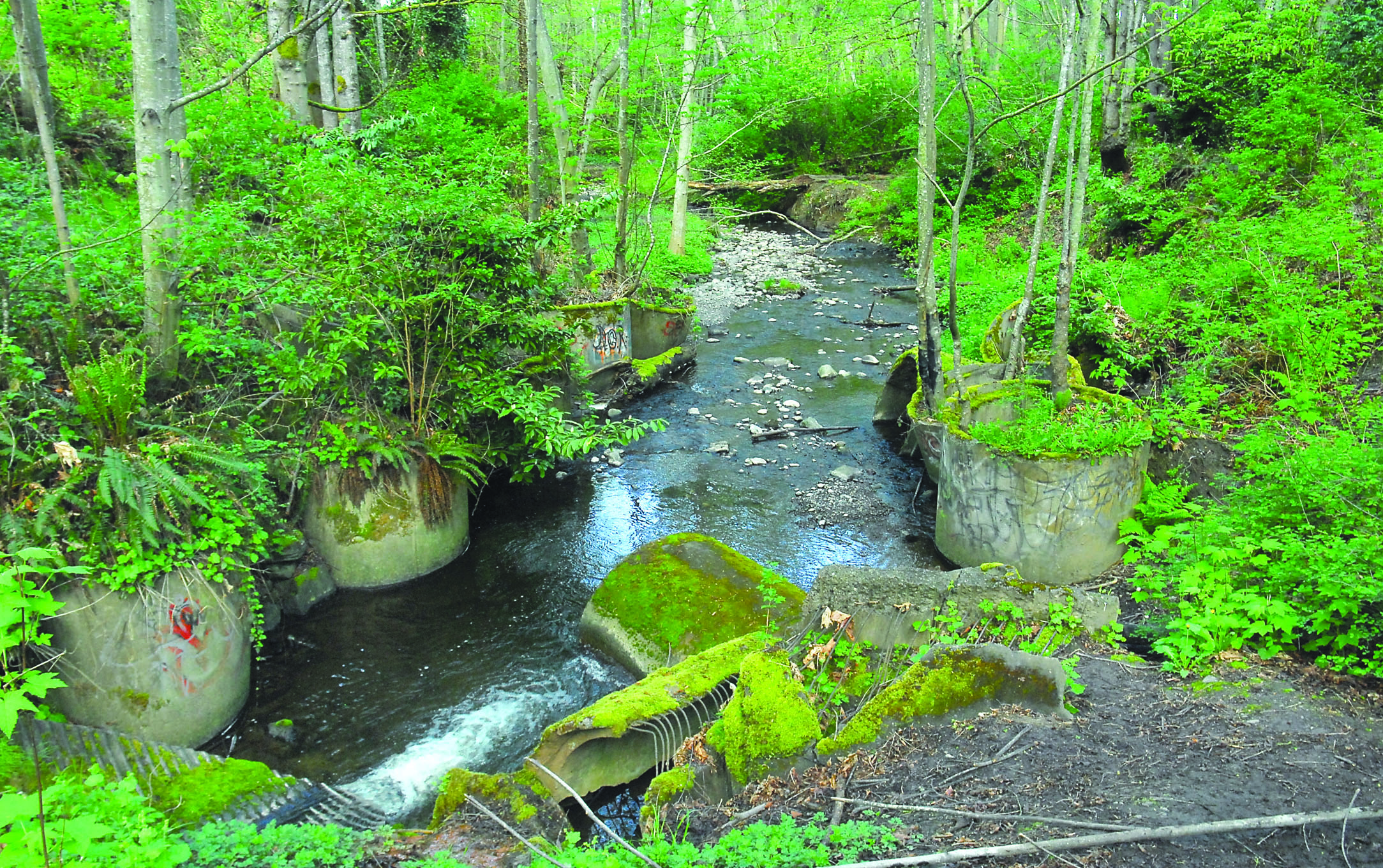 $150,000 grant to go to filtration system for Port Angeles' Peabody Creek