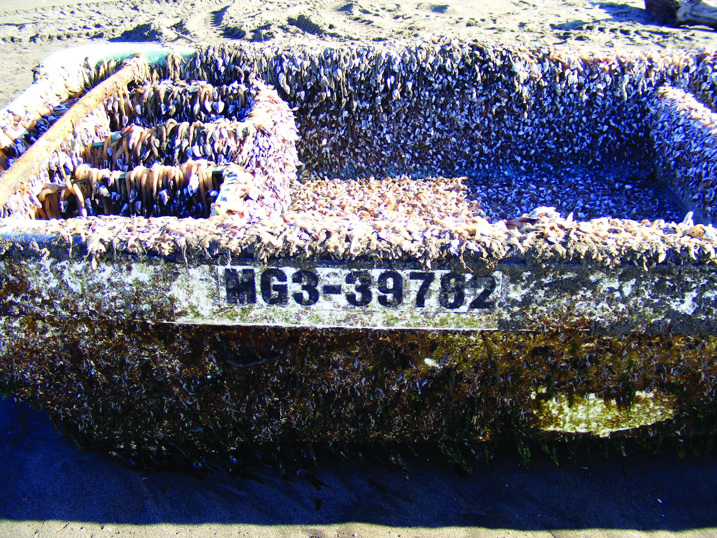 A barnacle-covered skiff that washed ashore at Twin Harbors State Park in Wesport is shown in January. The skiff was recently confirmed as debris from the March 2011 tsunami in Japan. — The Associated Press