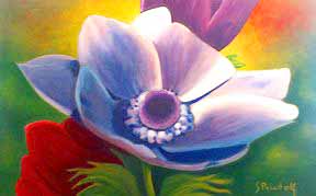 “Blue Anemone