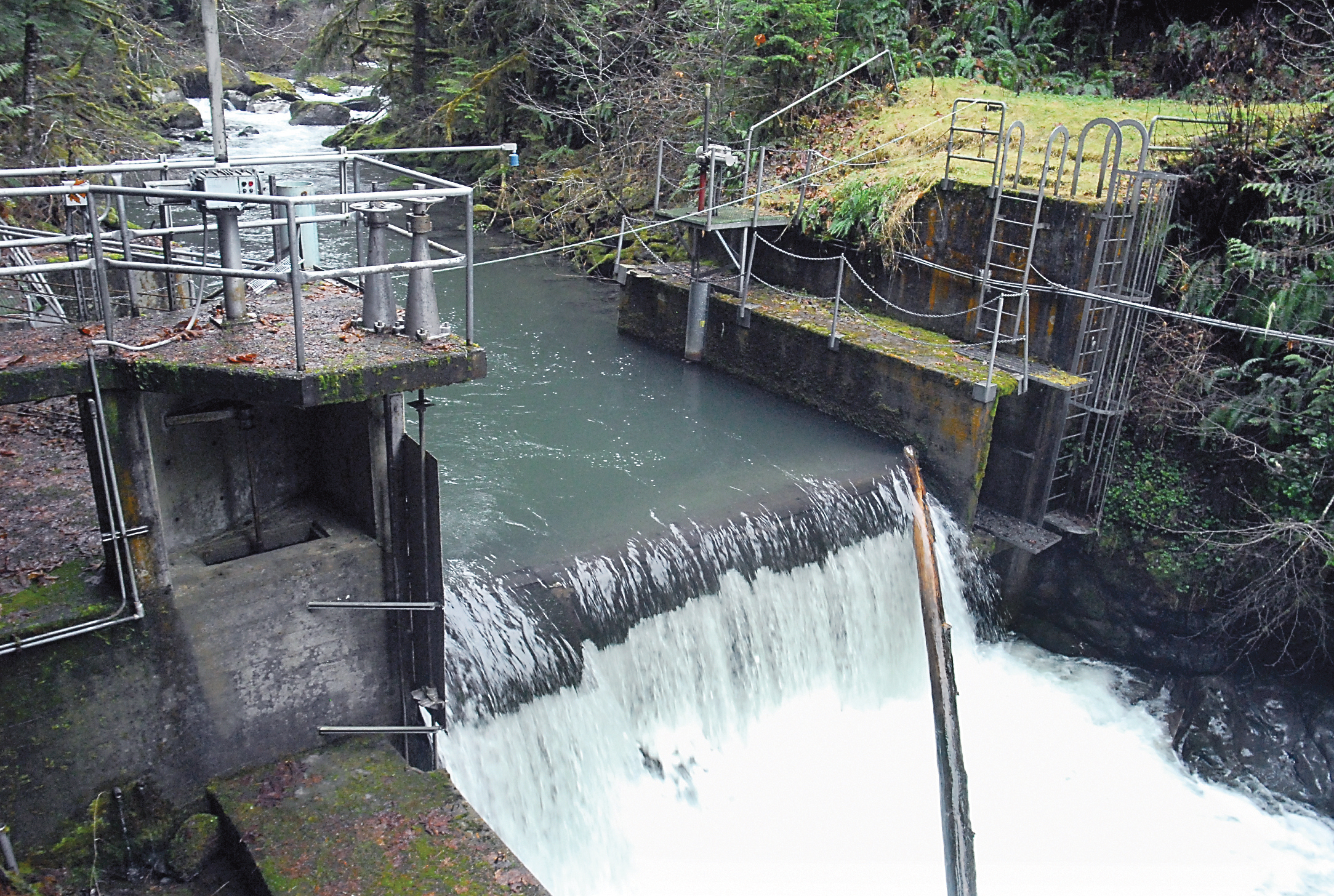 Water flows over the Morse Creek Dam at the water intake located 21/2 miles upstream from the power generation station southeast of Port Angeles. — Keith Thorpe/Peninsula Daily News