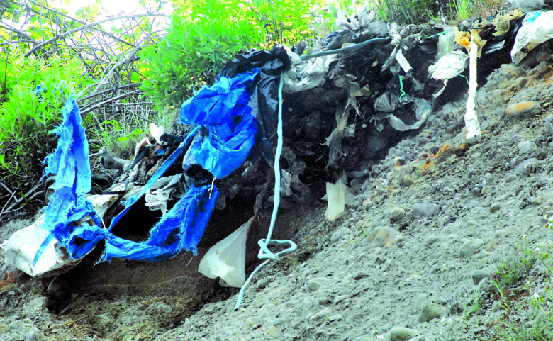 Exposed trash protrudes in June 2012 from the top of a bluff where erosion has undercut a portion of the former Port Angeles landfill. Keith Thorpe/Peninsula Daily News