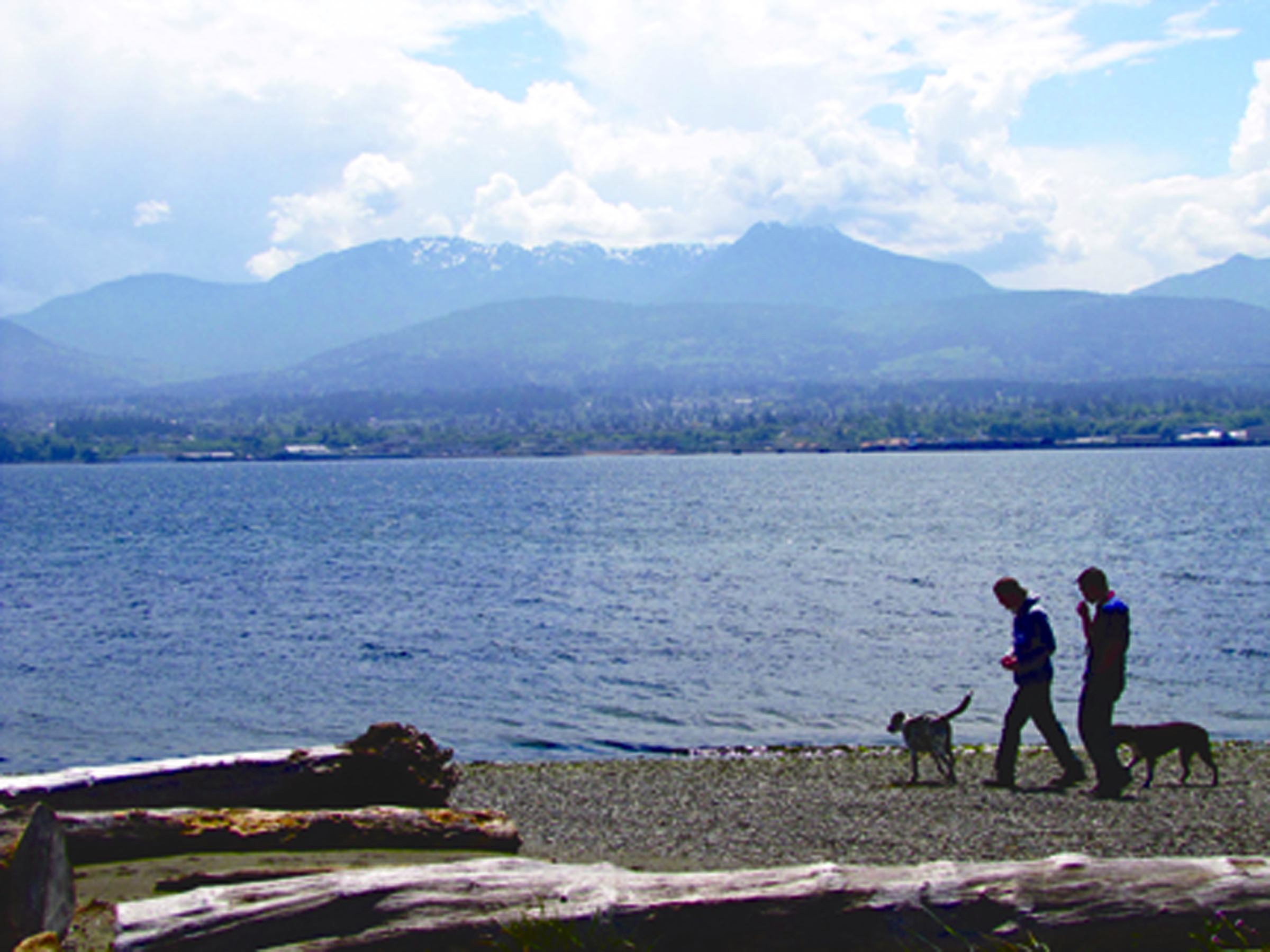 Port Angeles residents Ian Nilluka and Zachary Buckmaster walk their dogs