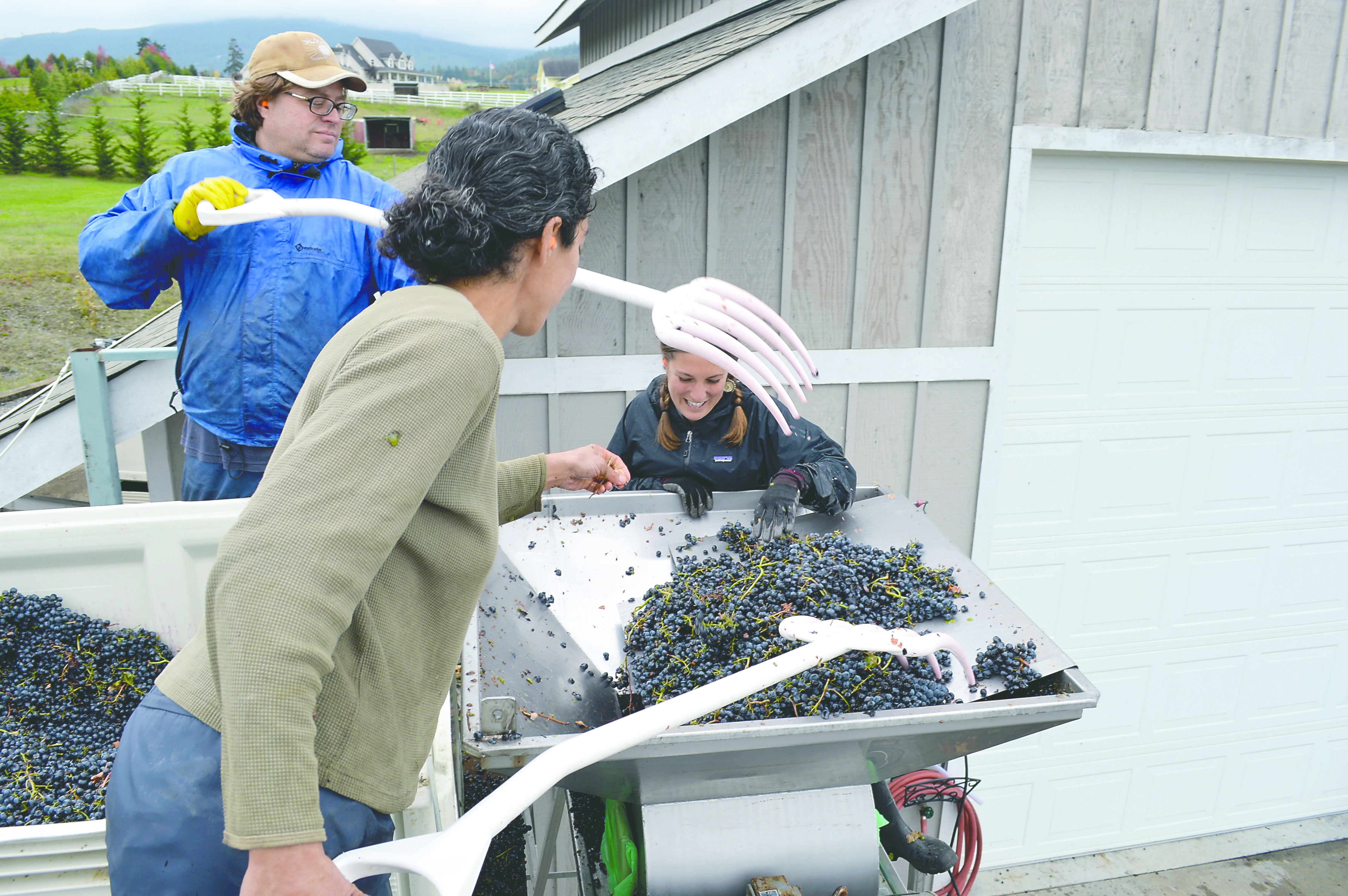 Wind Rose winemaker David Volmut