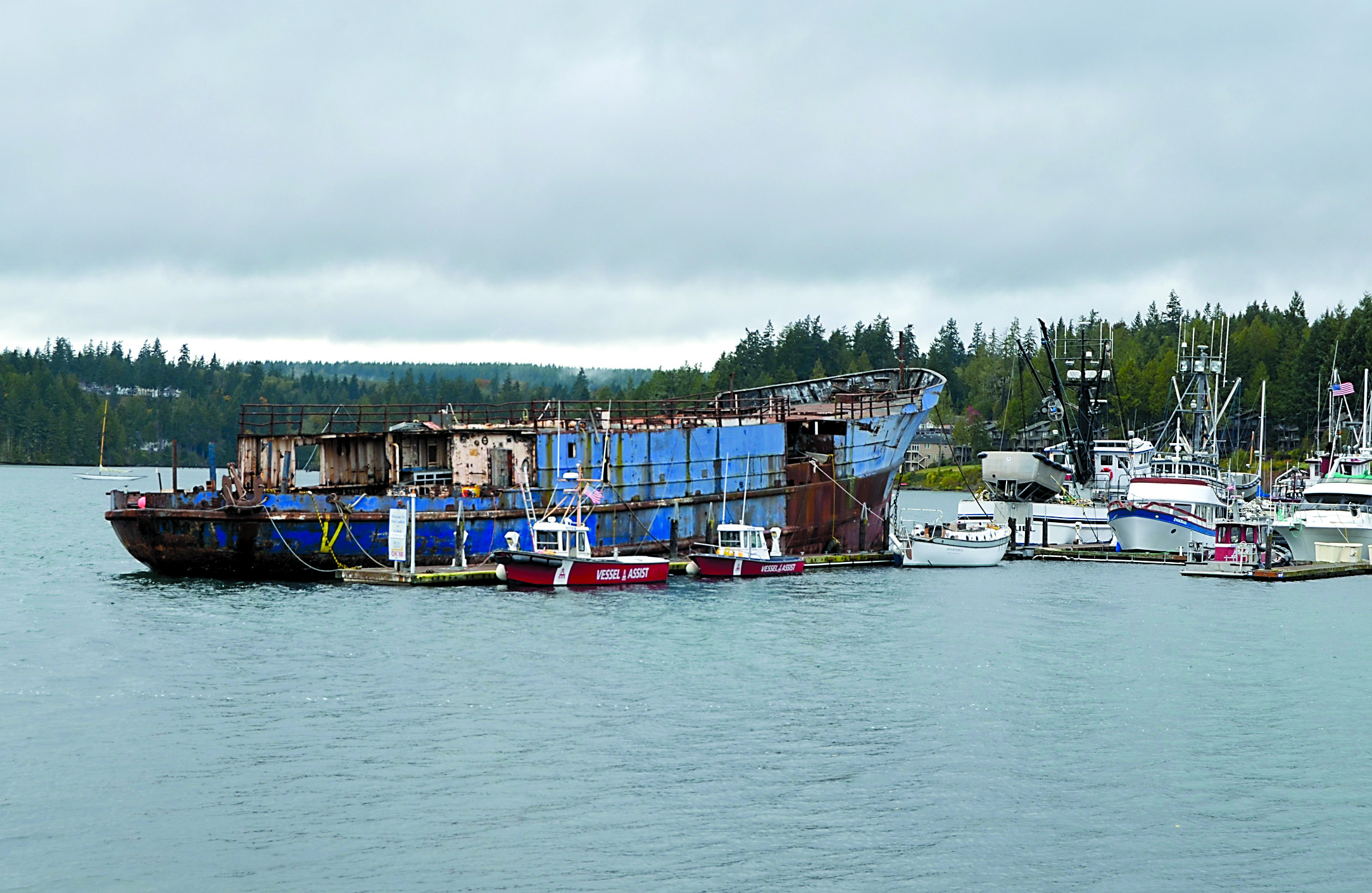 The rusty New Star dwarfs other vessels at picturesque Port Ludlow Marina in this photo taken Saturday.  -- Photo by Charlie Bermant/Peninsula Daily News