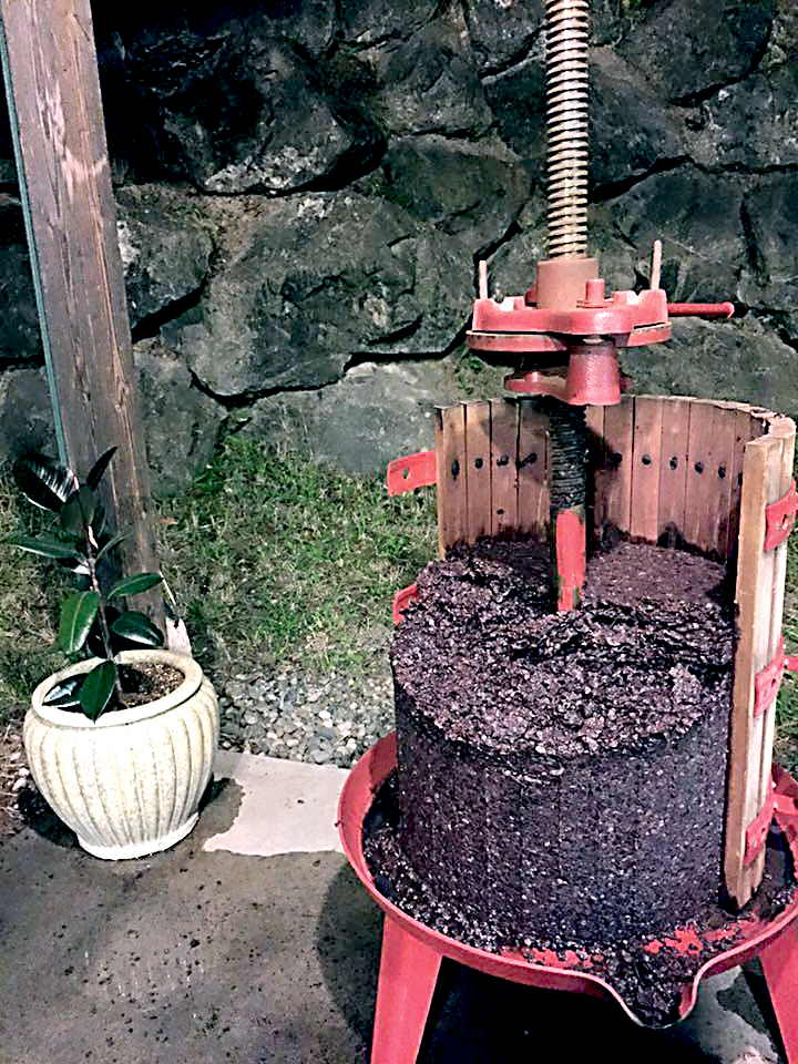 The first press of grenache by Lullaby Winery. The side of the wine press is removed to show the interior workings of the press. Lullaby Winery