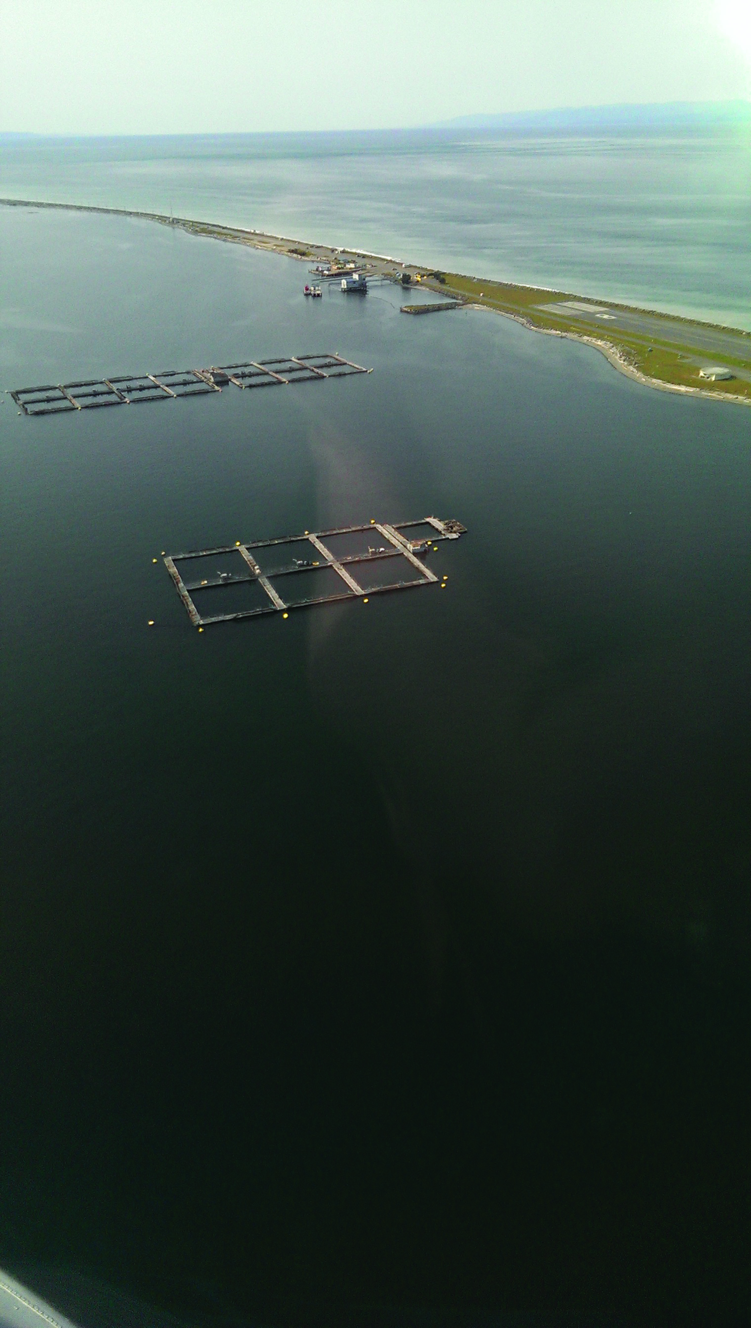 Aerial photo of the Atlantic salmon net pens operated by Icicle Seafoods. The pens