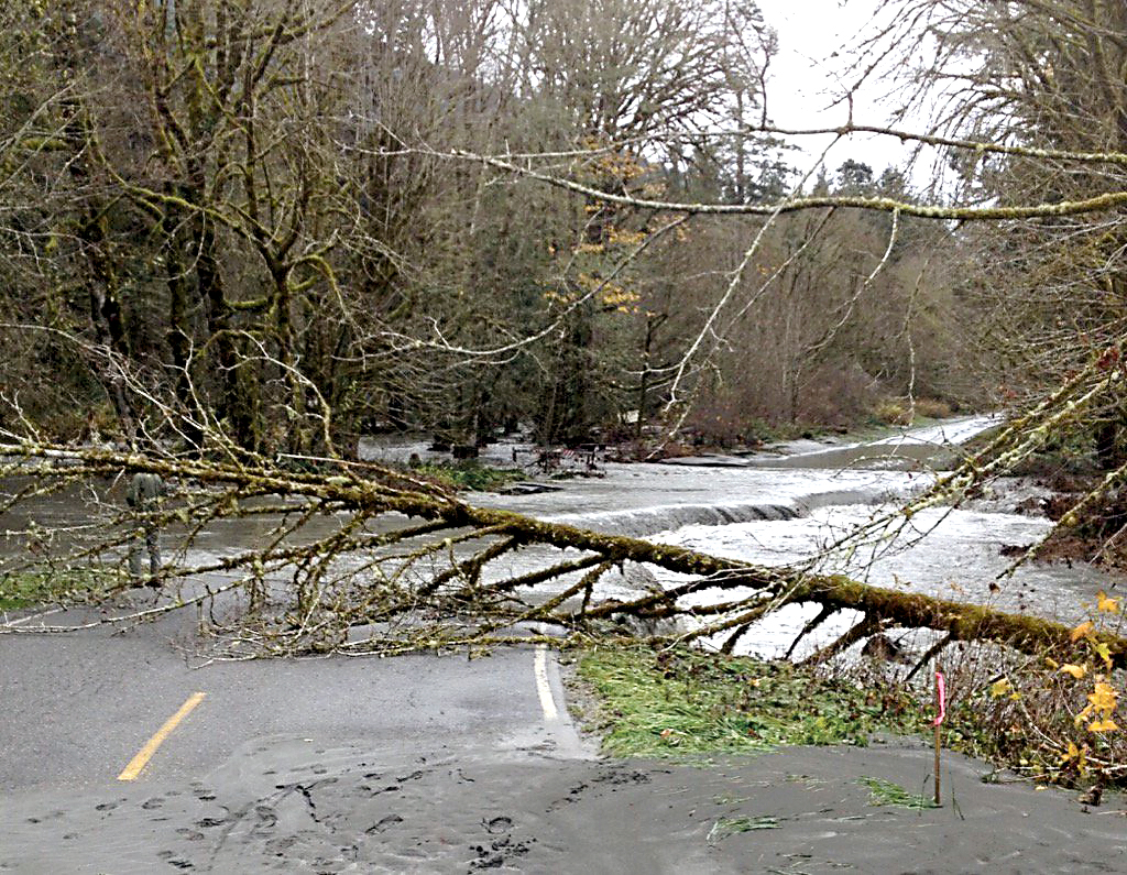 Olympic Hot Springs Road west of Port Angeles remained closed Wednesday due to flooding and fallen trees. National Park Service