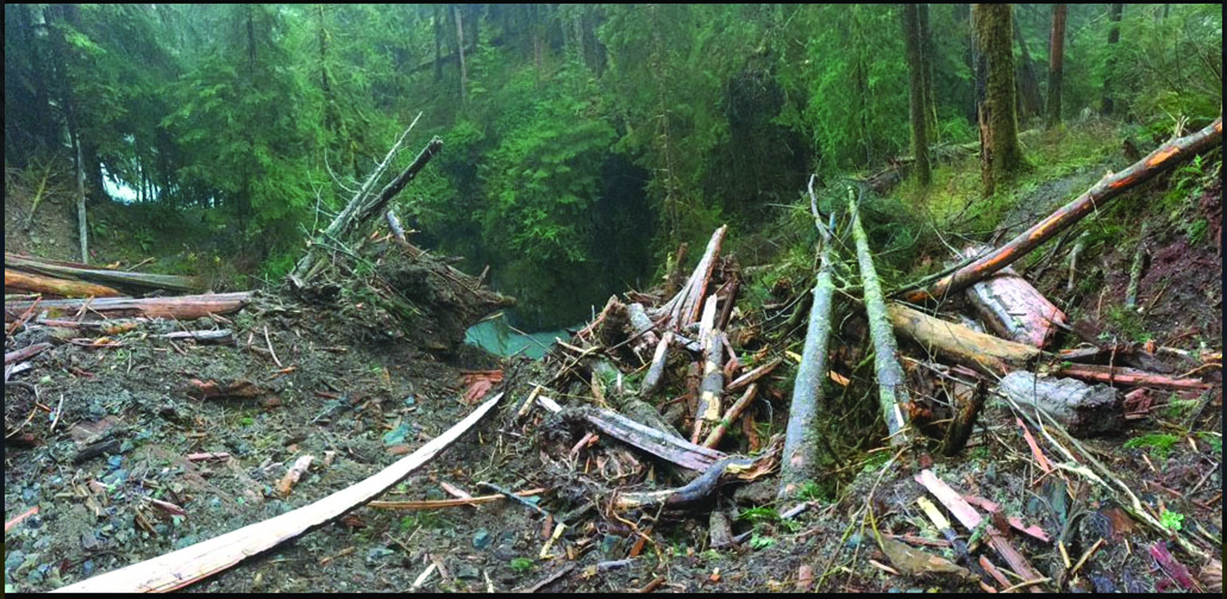 One of five landslides on the Enchanted Valley trail was found by Olympic Mountains Experiment scientists studying rainfall on the North Olympic Peninsula. — Joe Sagrodnik/Olympic Mountains Experiment