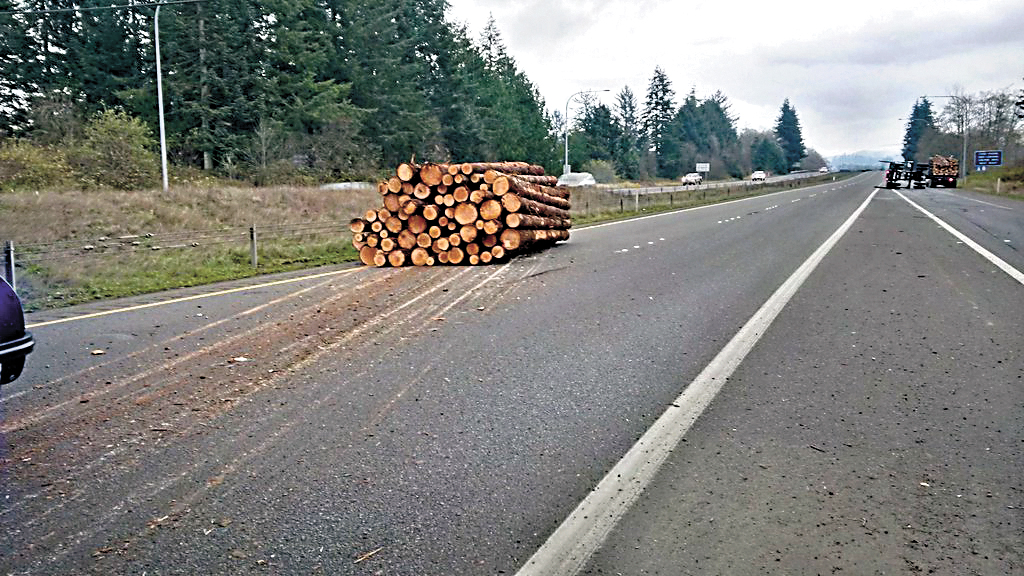 Logs dropped from a truck driven by a Port Angeles man Monday afternoon on state Highway 12 in Montesano. State Patrol