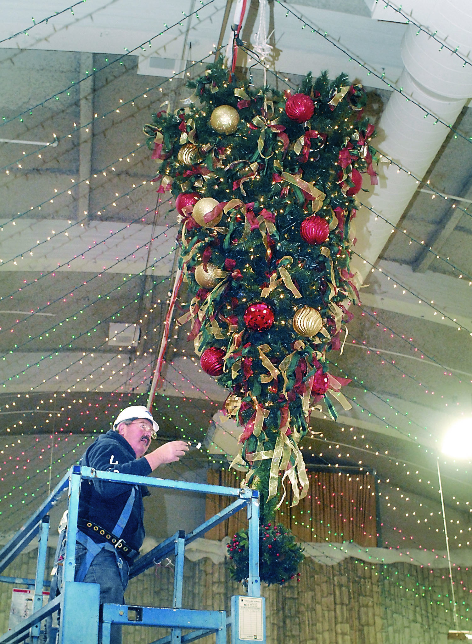 Designers dressing up trees for weekend Festival of Trees in Port