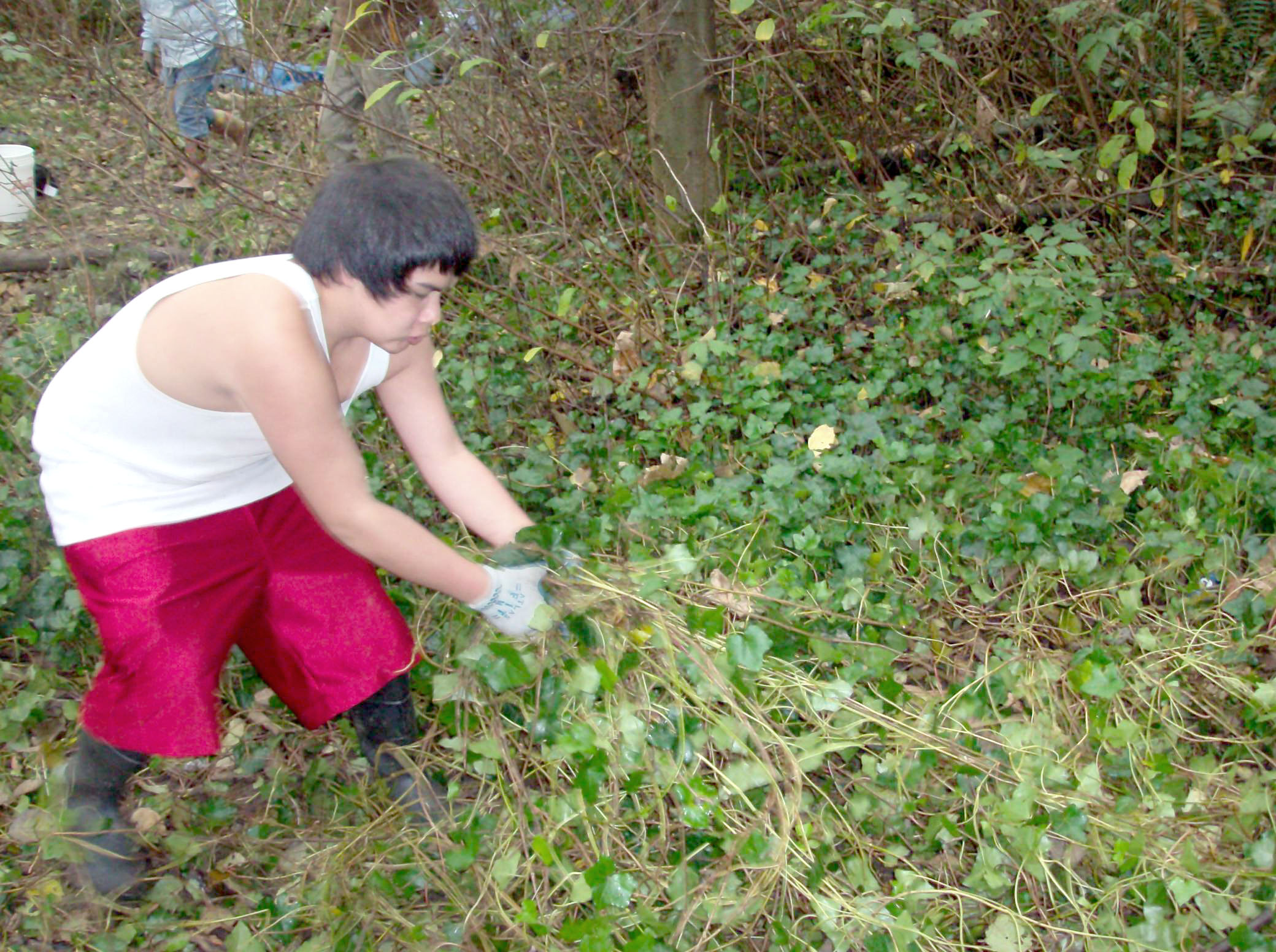 Cultural and natural resources student Dylan Bennett does some cleanup work at the Peabody Creek area while scouting the area prior to the volunteer work party. Port Angeles School District