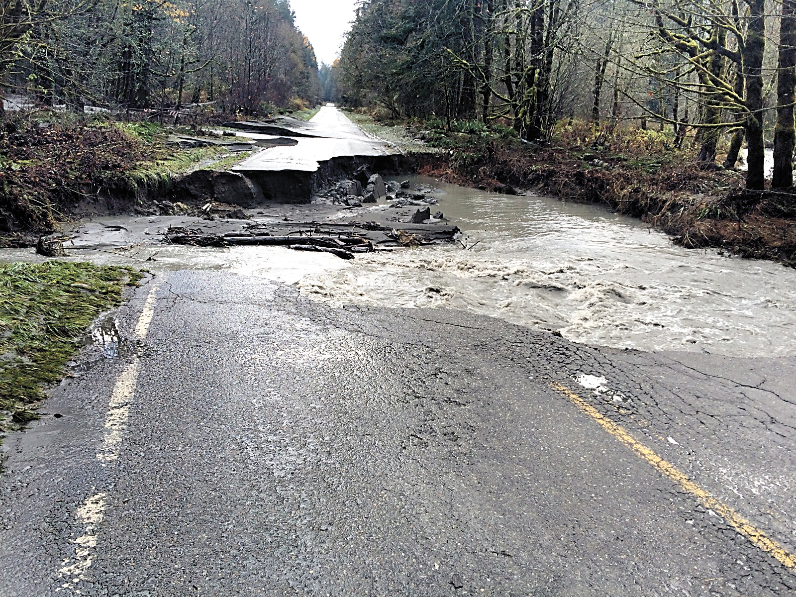 A side channel of the Elwha River flooded during a recent storm and washed out this section of Olympic Hot Springs Road. National Park Service