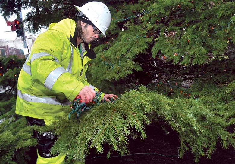 Port Angeles Parks Department employee Elijah Hammel strings lights on the Christmas tree Tuesday at the Conrad Dyar Memorial Fountain plaza in downtown Port Angeles. The tree