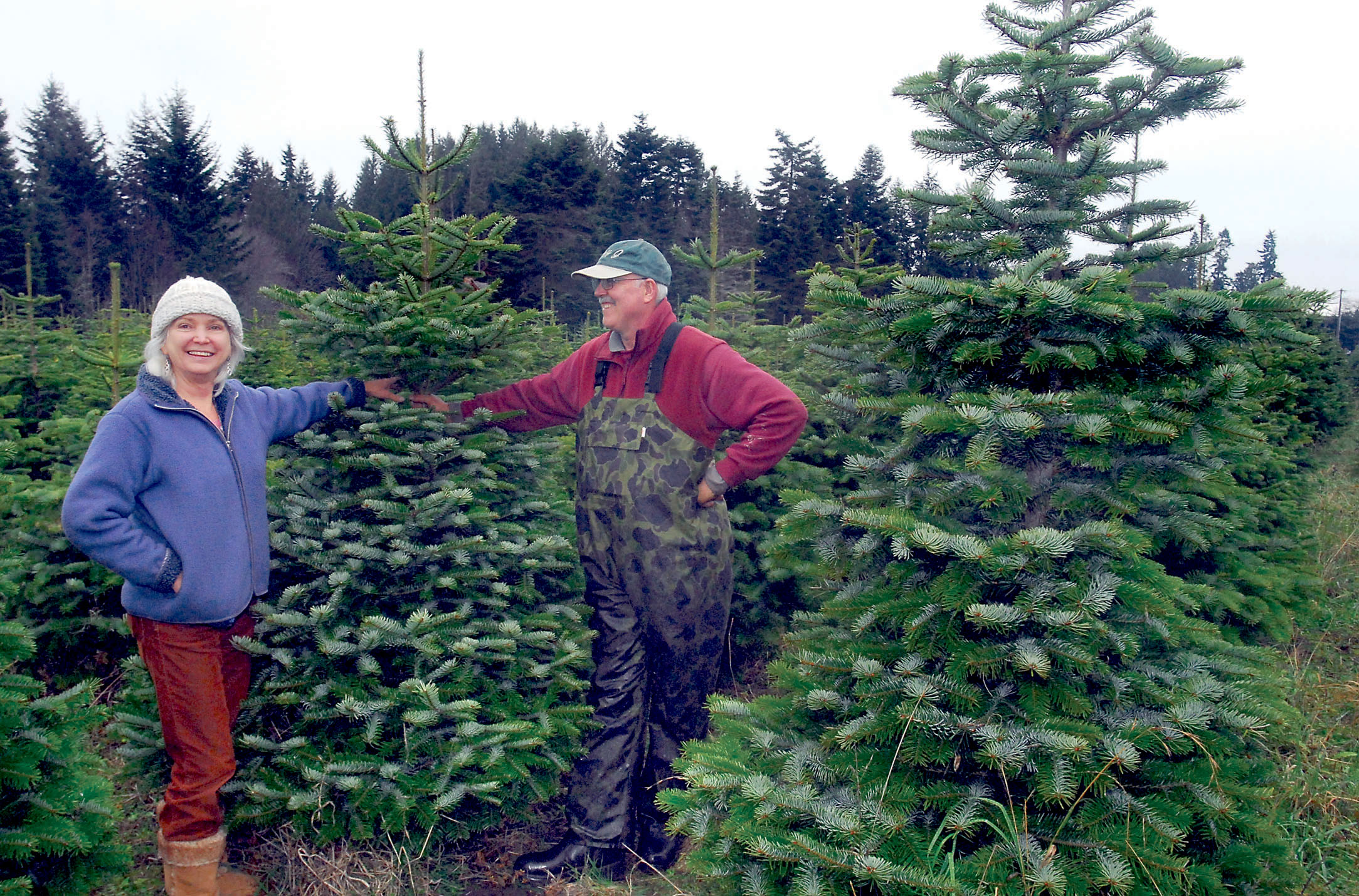 Lazy J Tree Farm owner Steve Johnson