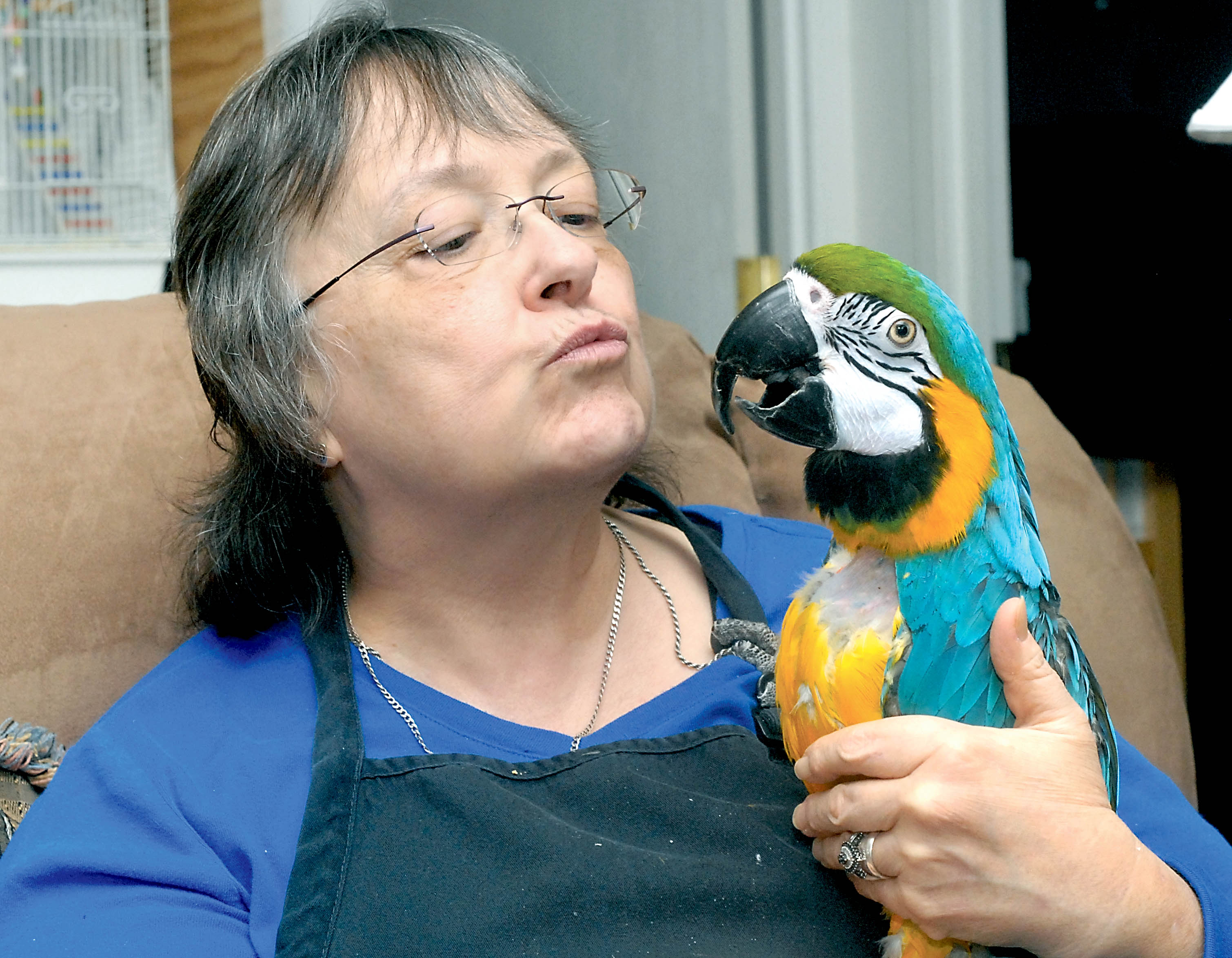 Jan Butler fears for the health of her rescued blue-and-gold macaw