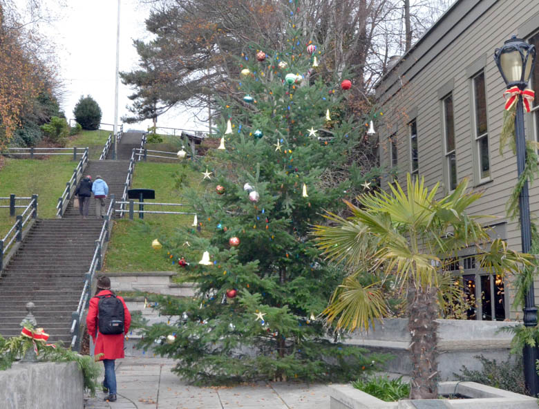 The Port Townsend Christmas tree was decorated this week in anticipation of Saturday's lighting ceremony. Charlie Bermant/Peninsula Daily News