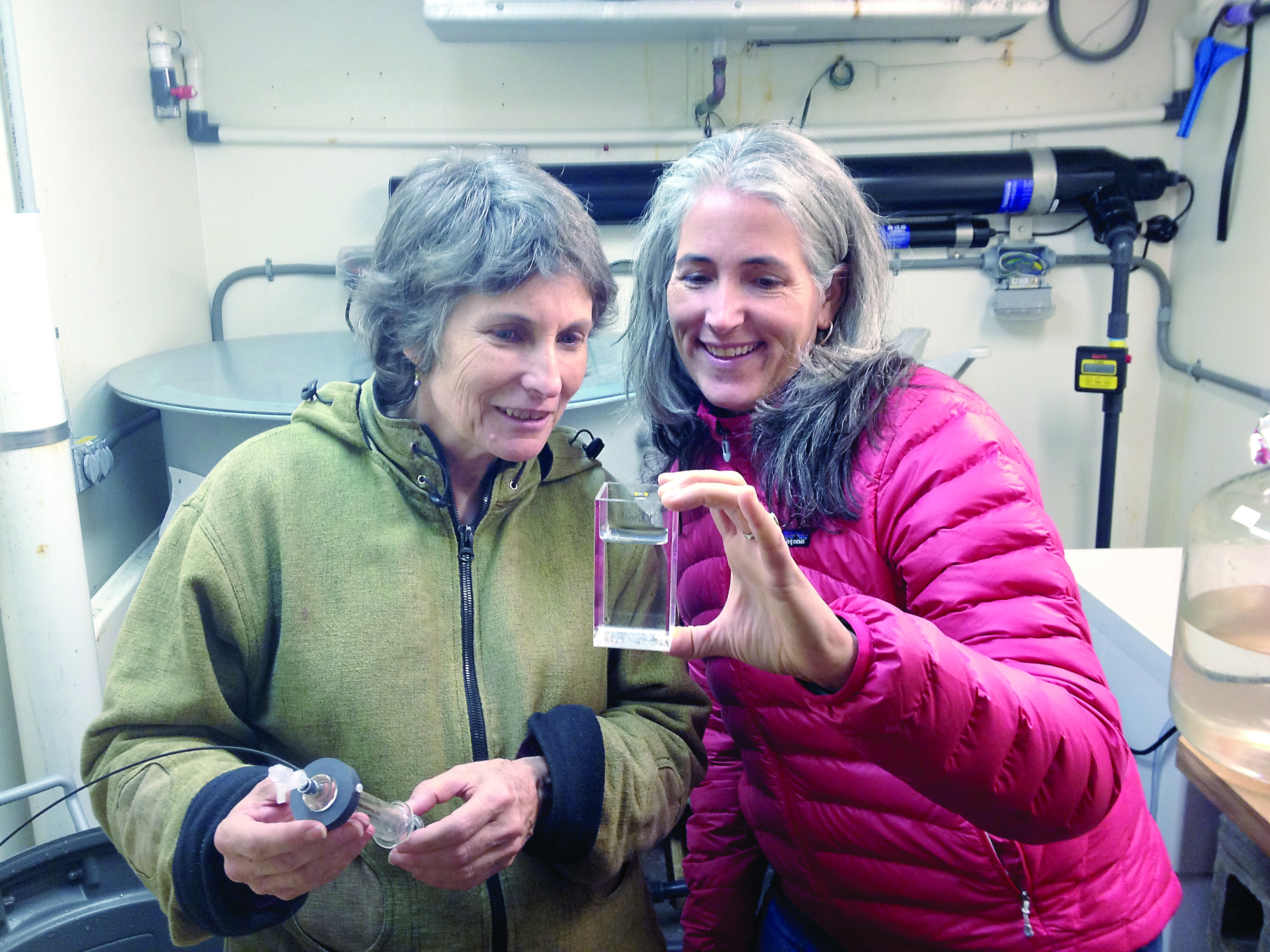 Port Townsend Marine Science Center Program Director Jean Walat