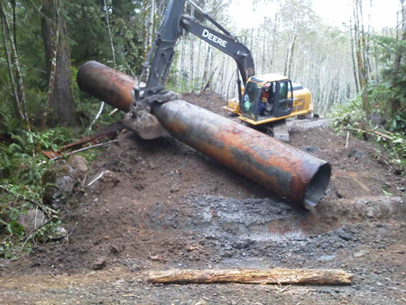 An excavator removes one of several old culverts blocking salmon passage in the Hoh River basin. Mike Hagen/Hoh River Trust