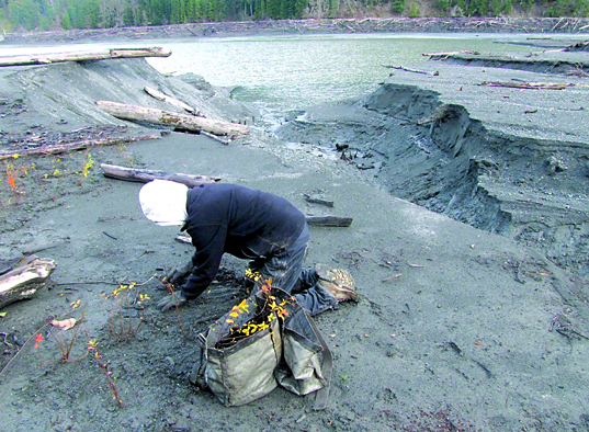 Olympic National Park restoration botanist