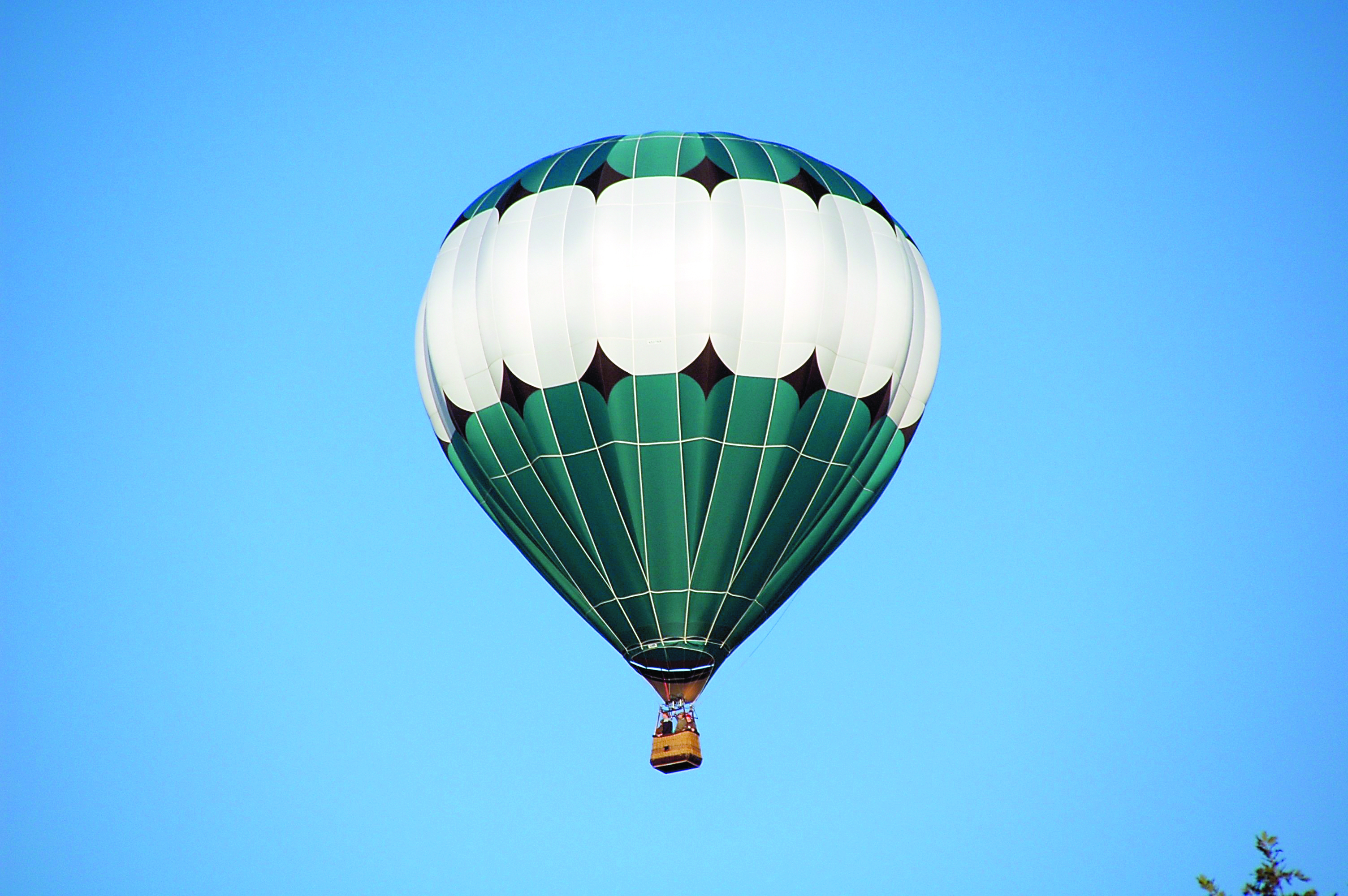 A Marysville couple plans to get married in this hot-air balloon at the Sequim Lavender Fest in July. Crystal Stout