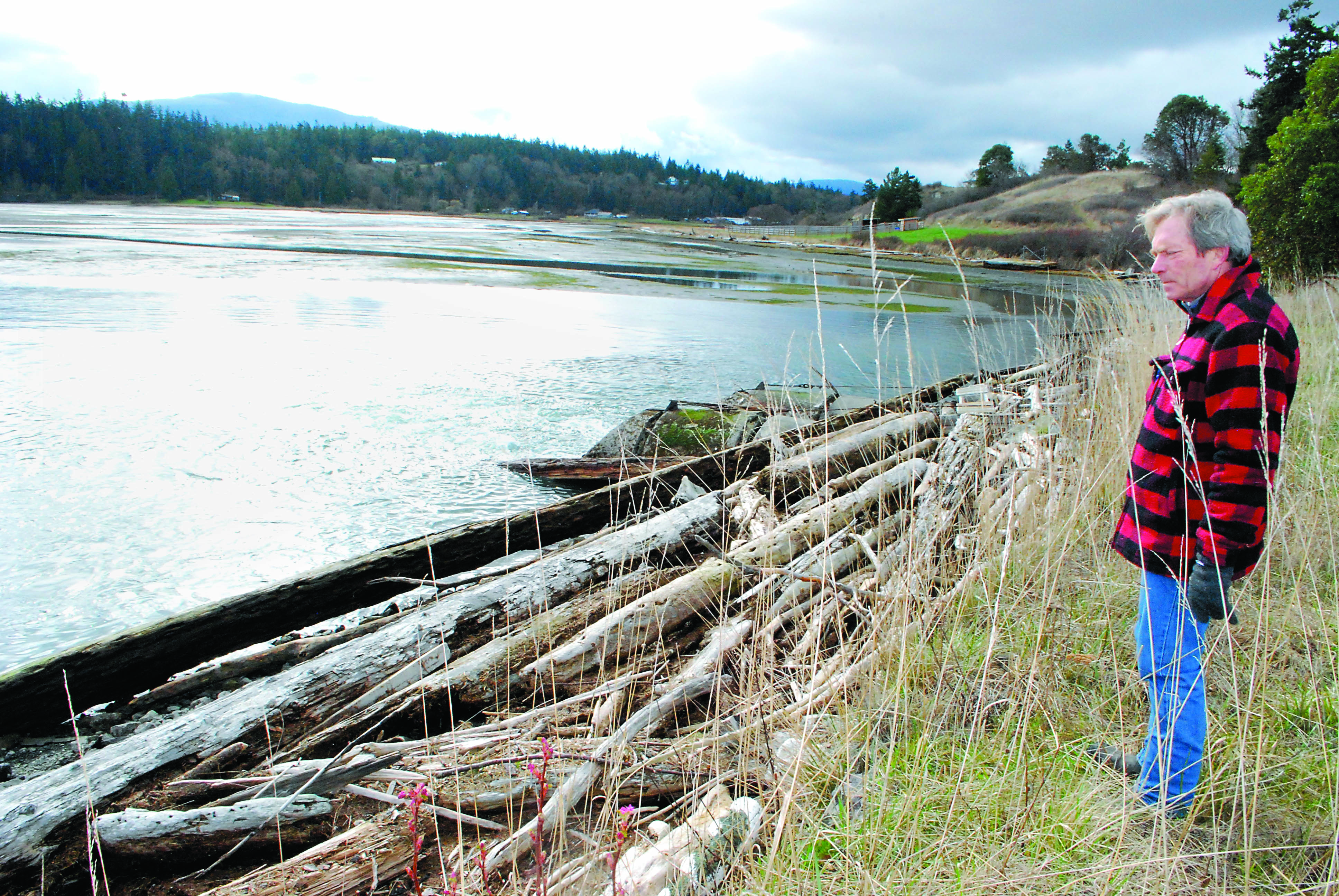 Washington Harbor property owner Mark Burrowes looks at driftwood that has lodged up against the causeway that crosses the lagoon — which is only drained by two 6-foot culverts