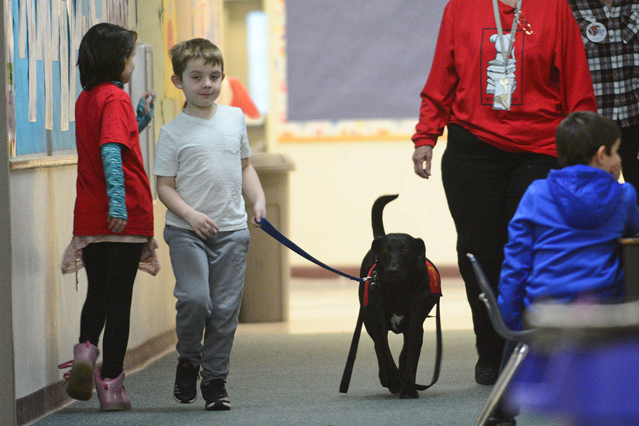 Canine companions offer more to readers than ‘see Spot run’ at Port Hadlock school