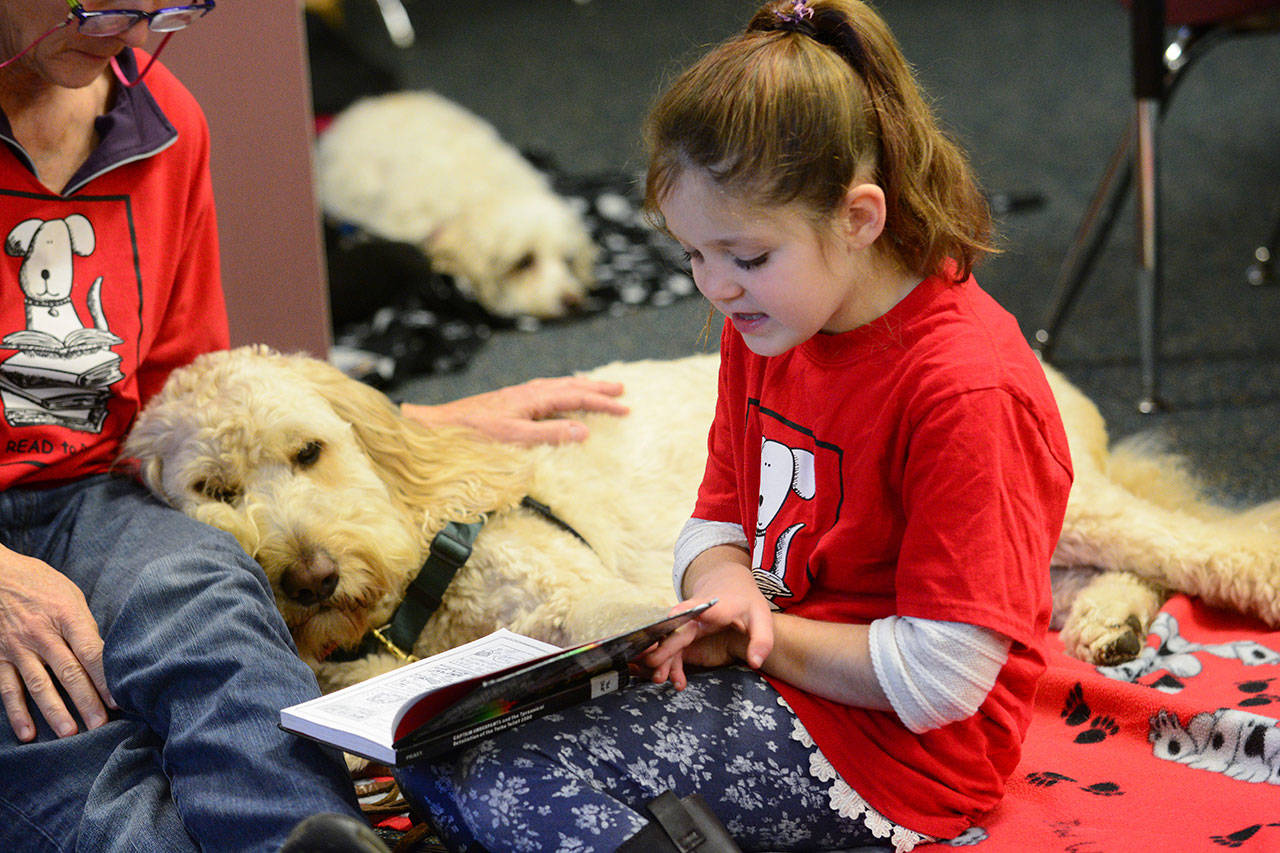 Canine companions offer more to readers than ‘see Spot run’ at Port ...