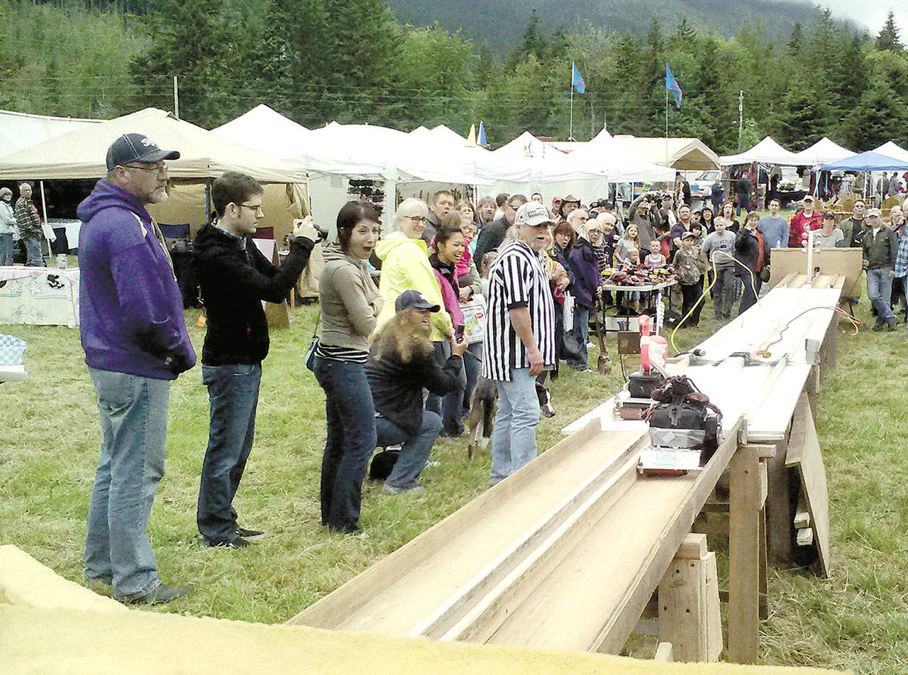 Spectators cheer during the belt sander races at Brinnon Shrimpfest in 2014. (Laura Lofgren/Peninsula Daily News)