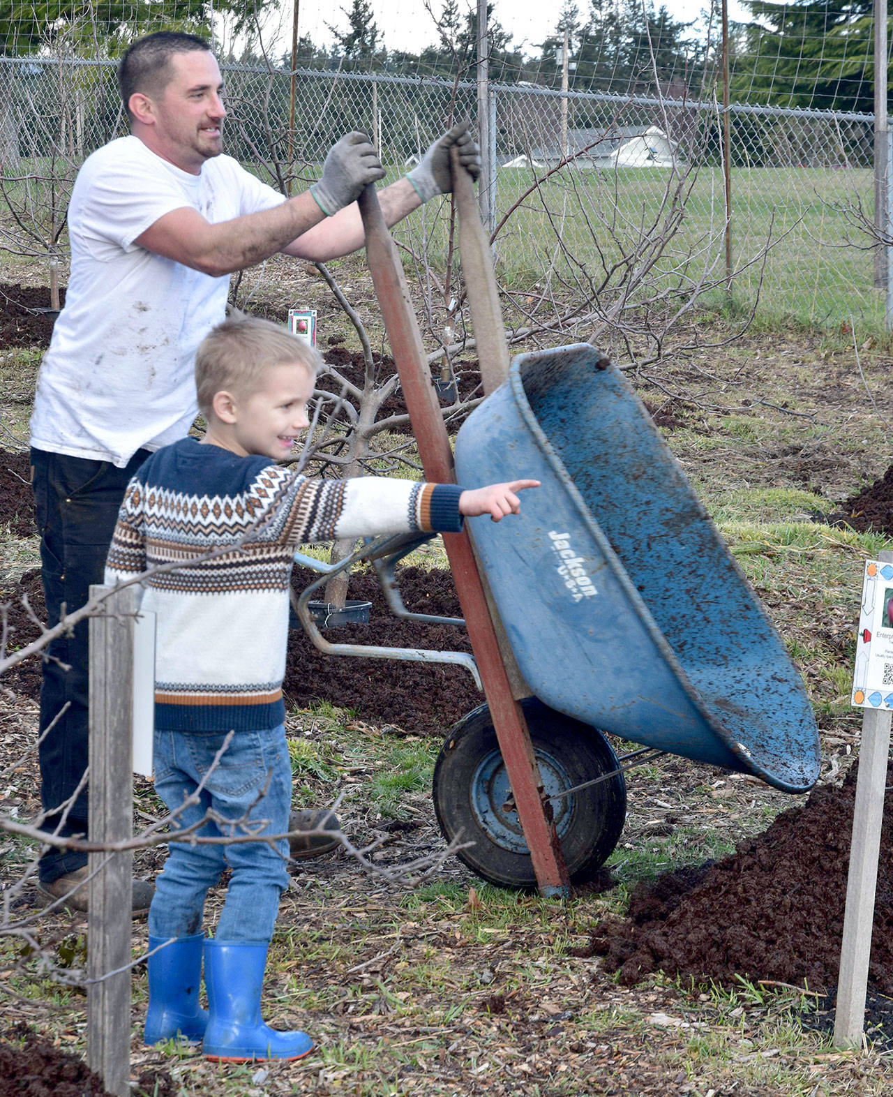 Volunteers celebrate birthday of Blue Heron orchard