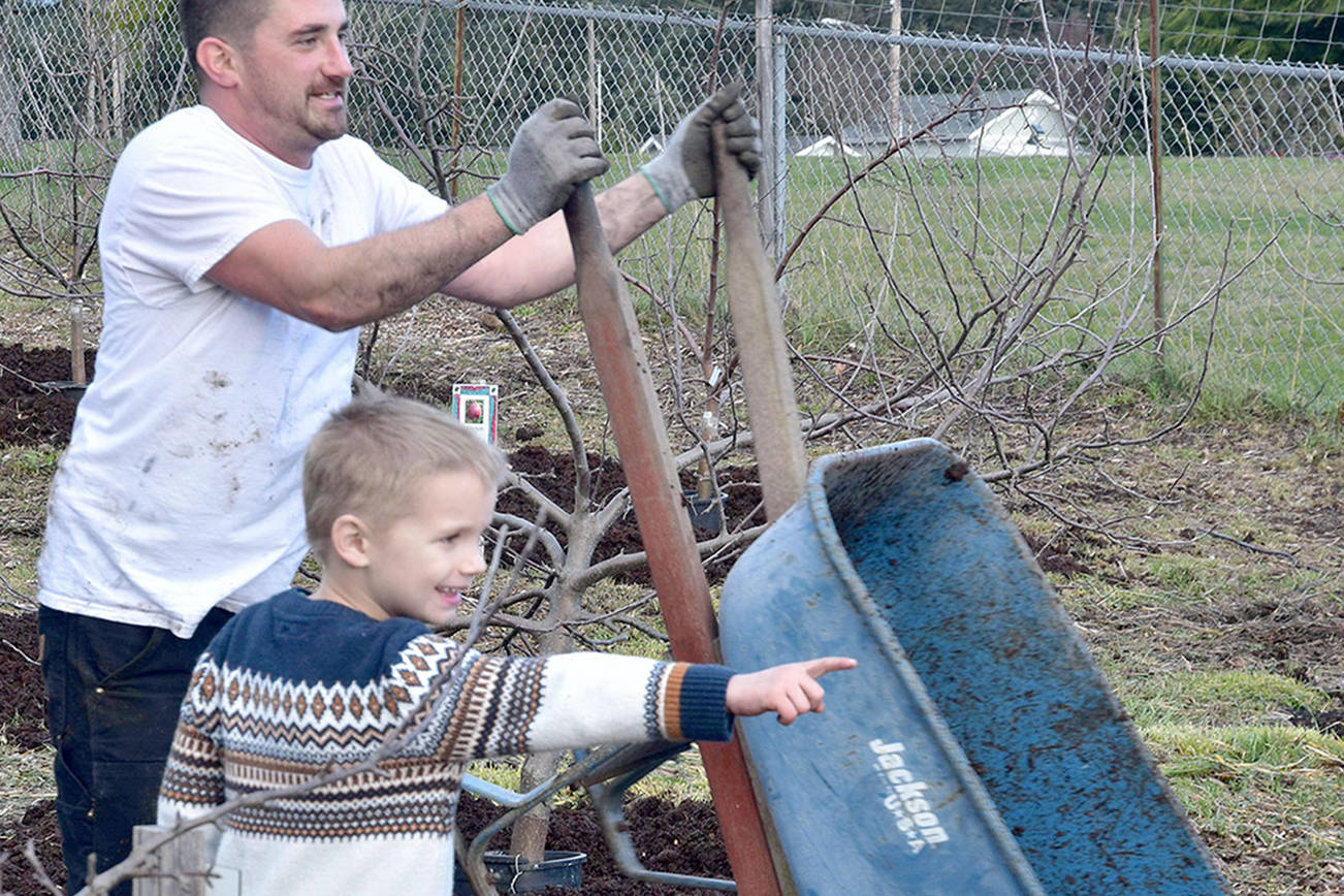 Volunteers celebrate birthday of Blue Heron orchard