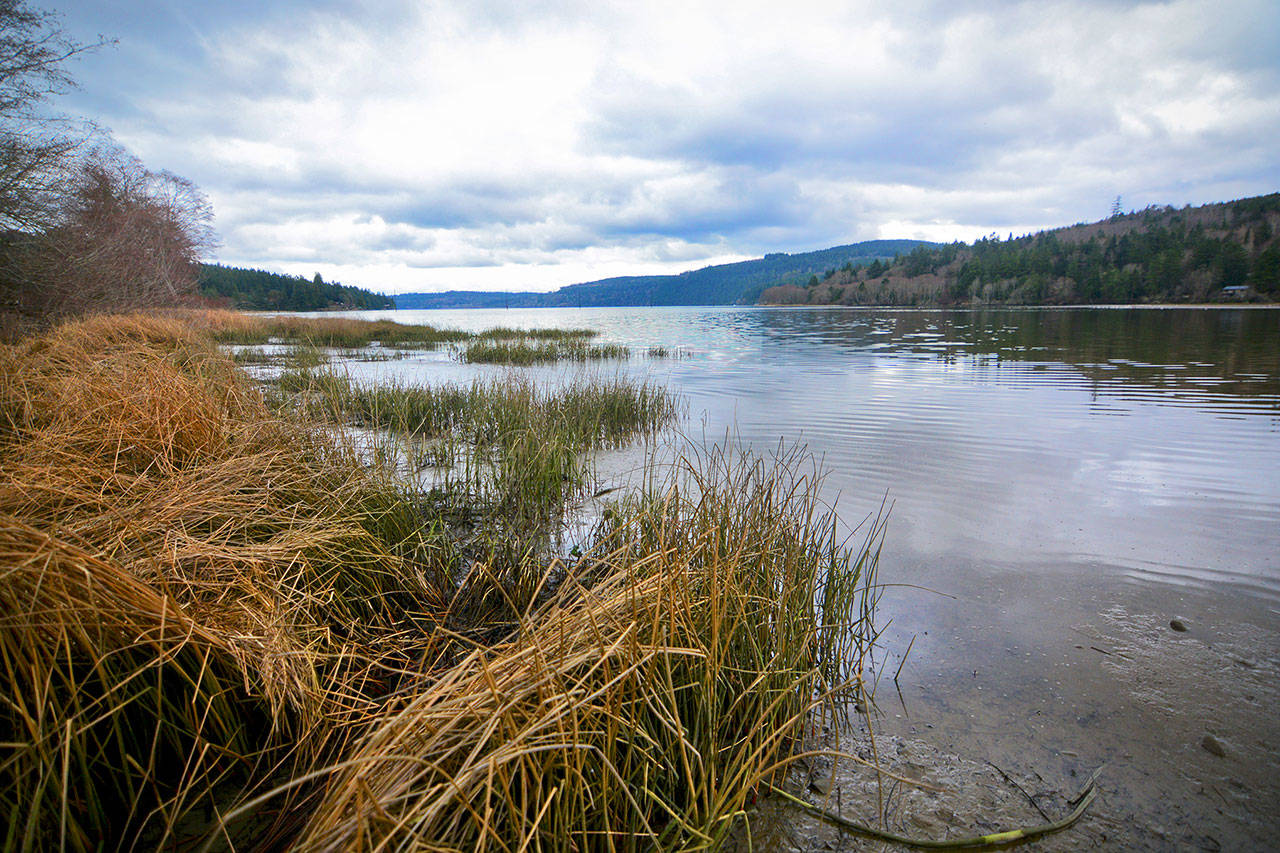 Discovery Bay, pictured, is an area in Jefferson County regulated under the county’s Shoreline Master Program. Opponents of Jefferson County’s SMP said they are preparing to take their case against the SMP to the U.S. Supreme Court after the state Supreme Court declined to hear their case earlier this month. (Jesse Major/Peninsula Daily News)