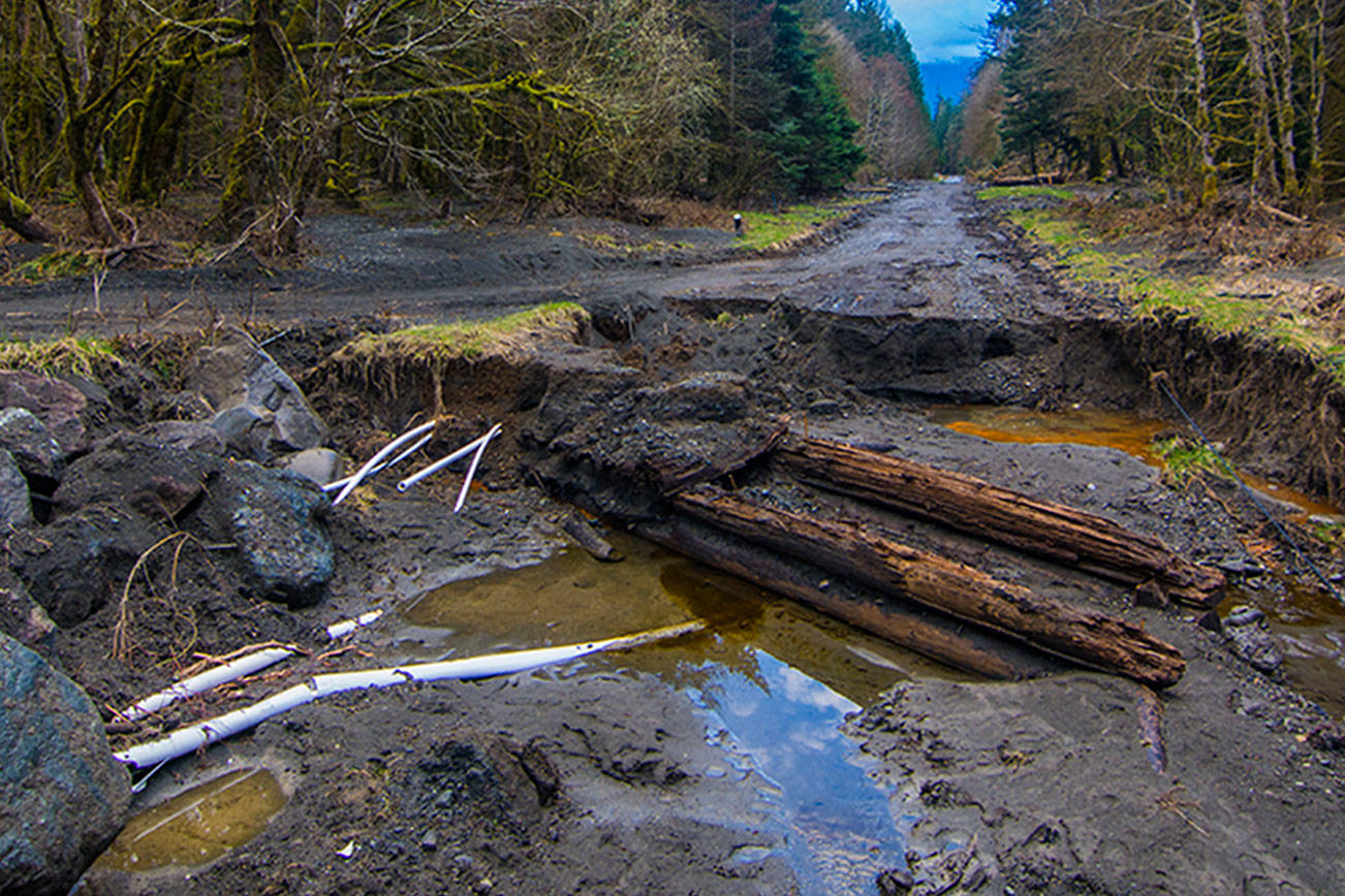 A river runs through: Olympic National Park looks for long-term road solution in Elwha Valley