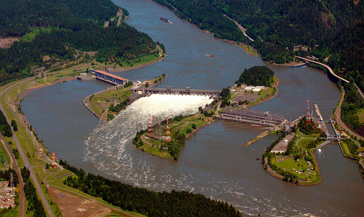 This June 3, 2011, file photo shows the Bonneville Dam on the Columbia River near Cascade Locks, Ore. The 9th U.S. Circuit Court of Appeals on Monday affirmed an order to spill more water over Columbia and Snake river dams to help protect salmon and steelhead. (Rick Bowmer/The Associated Press)