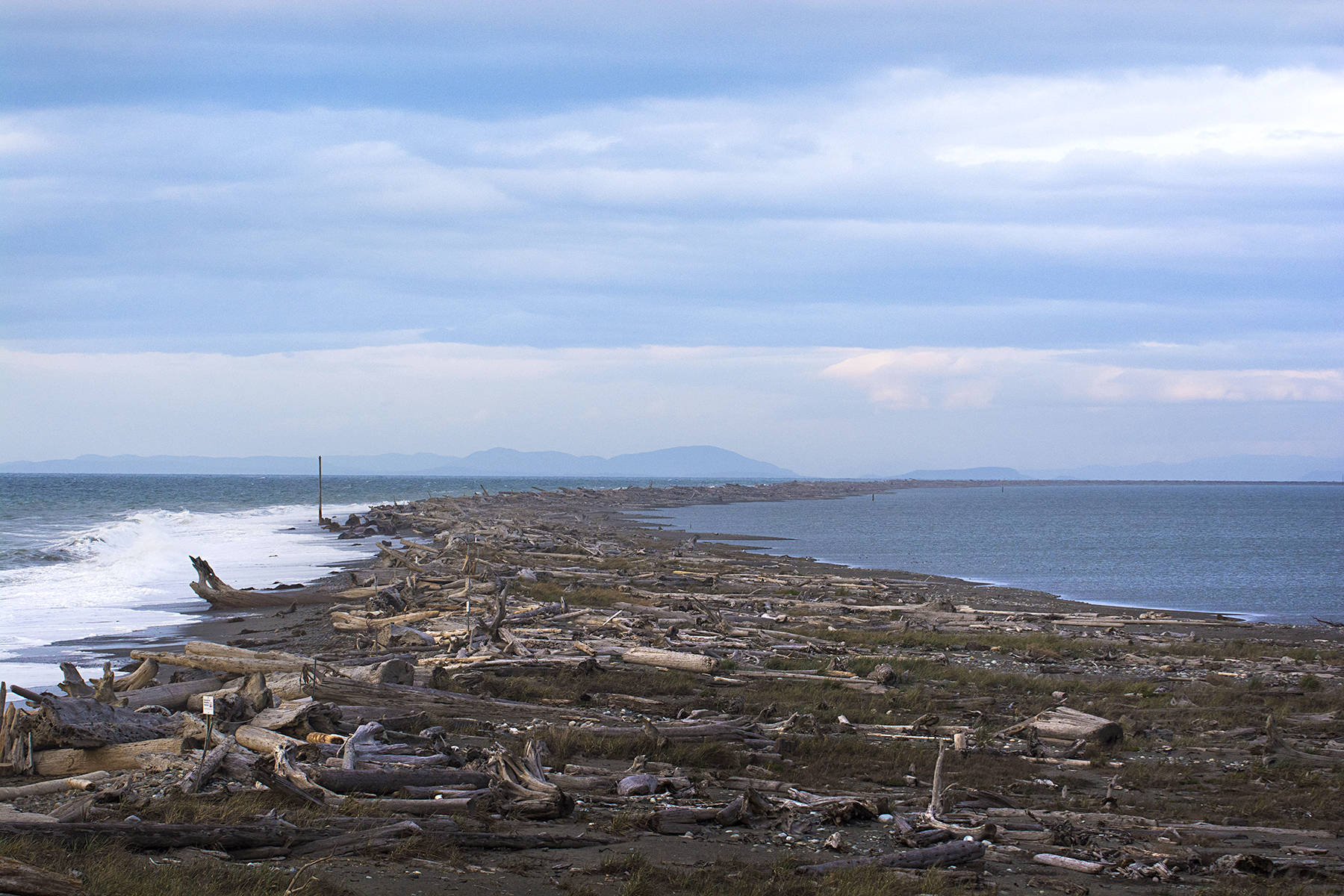 The Jamestown S’Klallam Tribe has plans to re-establish an oyster farm in Dungeness Bay that has historically been within the Dungeness National Wildlife Refuge. (Jesse Major/Peninsula Daily News)