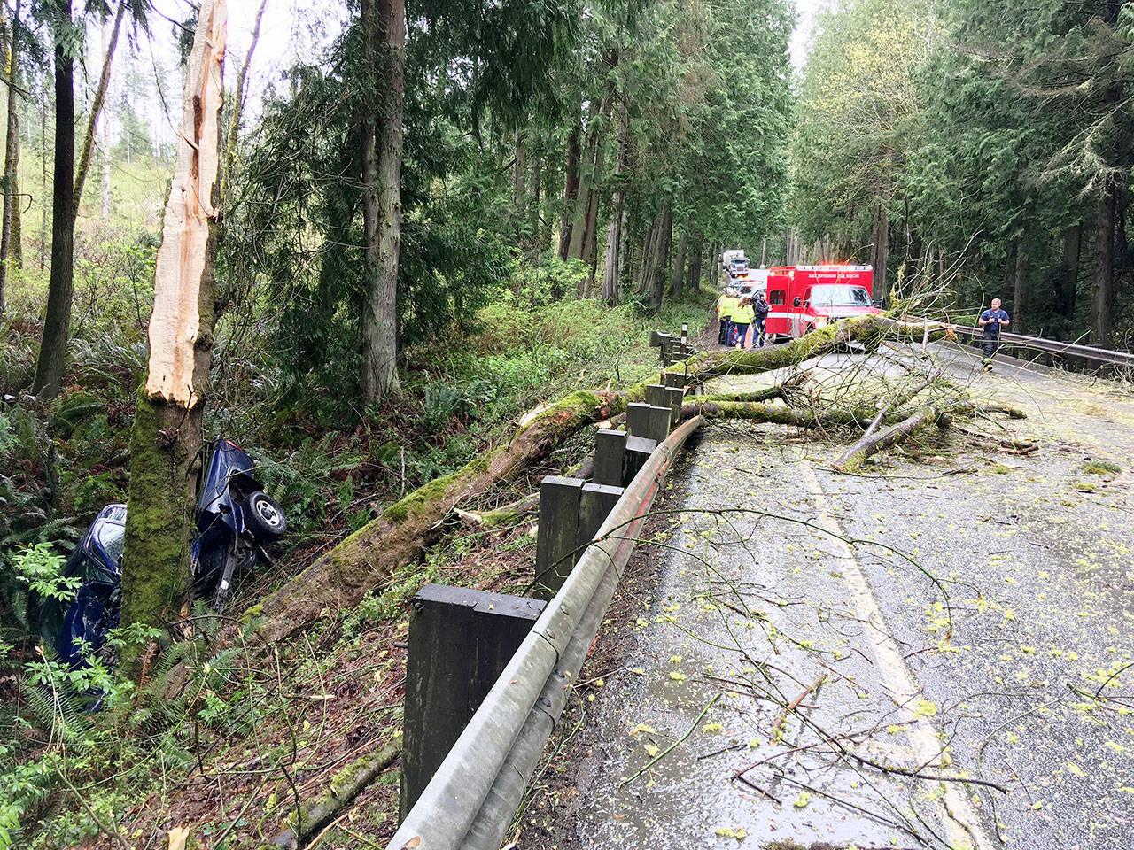 A 73-year-old Jefferson County PUD employee died after a single vehicle wreck near milepost 5 of state Highway 20 on Monday morning. (East Jefferson Fire-Rescue)