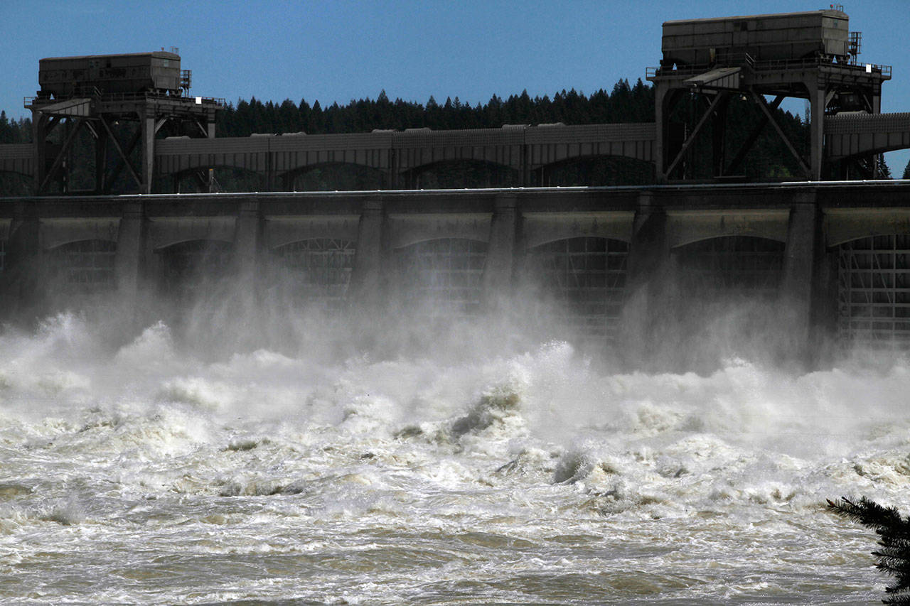 Heavy spring runoff waters boil and churn as they pass through the spillways at the Bonneville Dam near Cascade Locks, Ore., on May 20, 2011. (Don Ryan/The Associated Press)