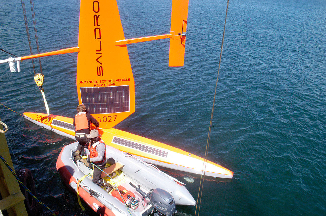 Saildrone founder and CEO Richard Jenkins launches a Saildrone at the Makah commercial fishing dock in Neah Bay. The autonomous vehicles have solar-powered sensors that can provide data about fish biomass and oceanic and atmospheric conditions in real time. The two drones launched in Neah Bay and three others launched from San Francisco Bay will work with the NOAA ship Reuben Lasker to determine how the vehicles can enhance fish stock assessments. (Rob Ollikainen/Peninsula Daily News)