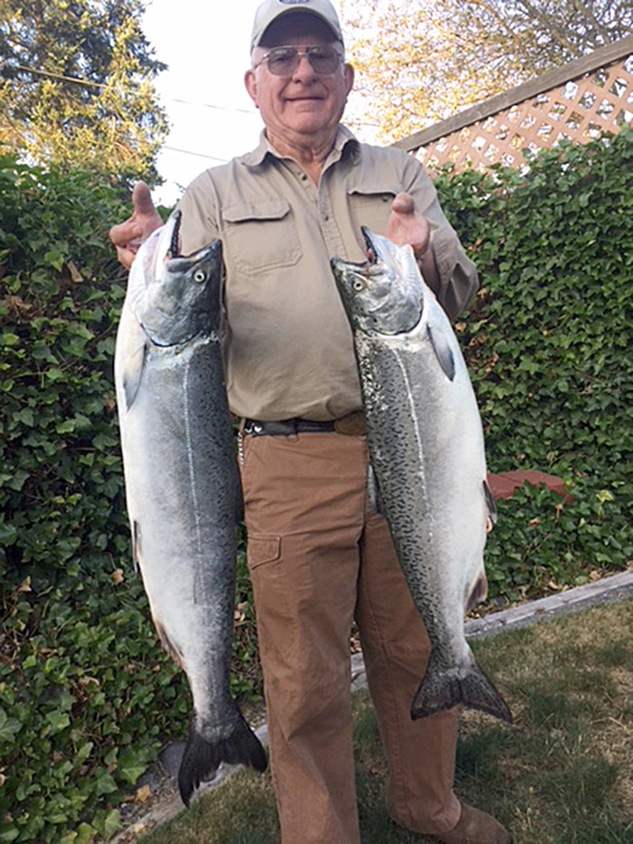 Port Angeles angler Al Brown limited with these two chinook using a a 1 ½ oz Kandlefish with a chartreuse back with a pearl white belly during a recent outing with Pete Rosko.