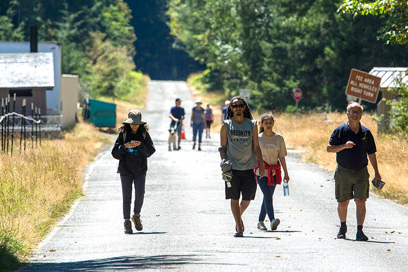 Public comment being taken for Olympic Hot Springs Road action