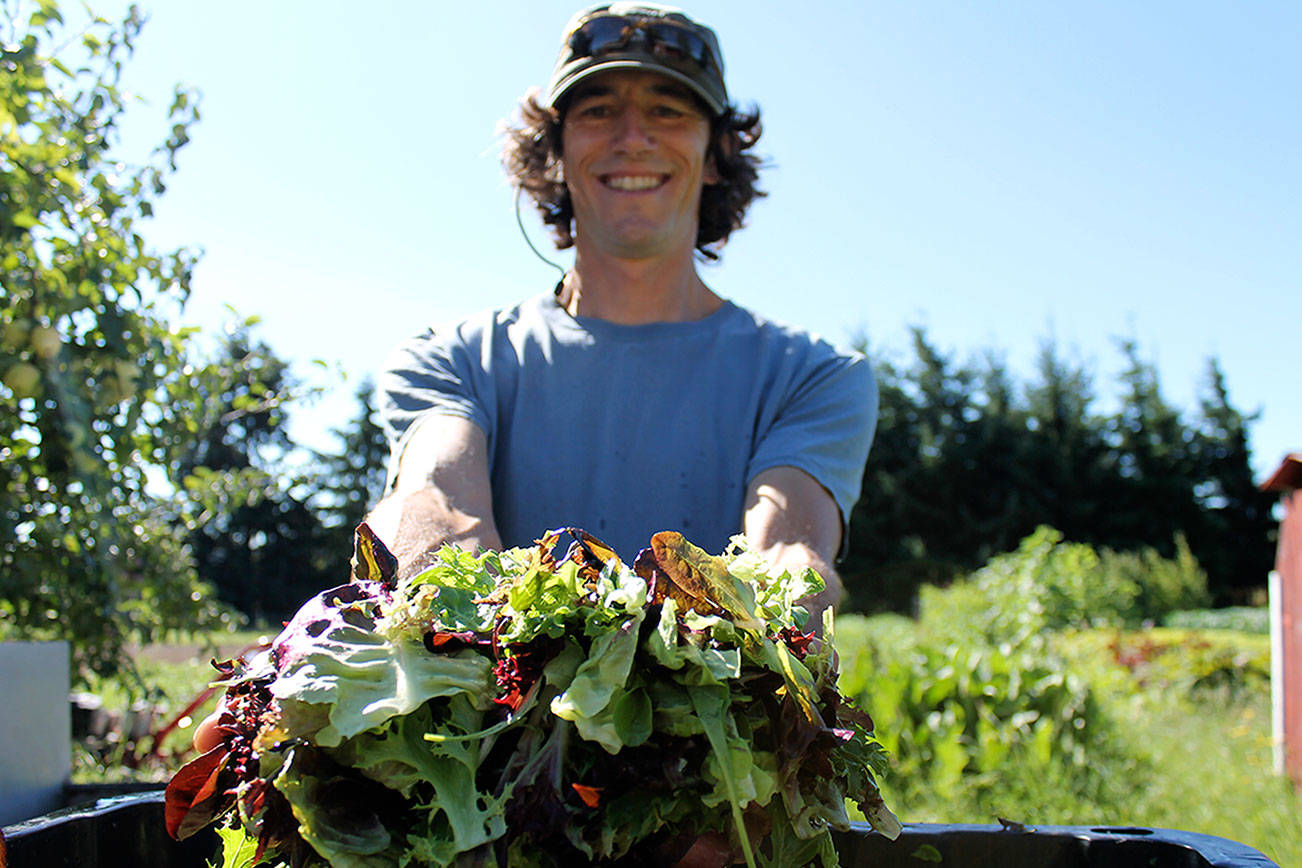 Farmland conservation in spotlight at annual Friends of the Fields Harvest Dinner