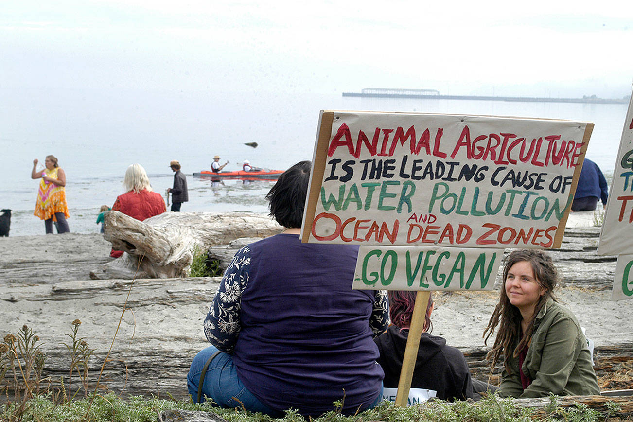 PHOTO: Rally call for orcas, climate in Port Angeles