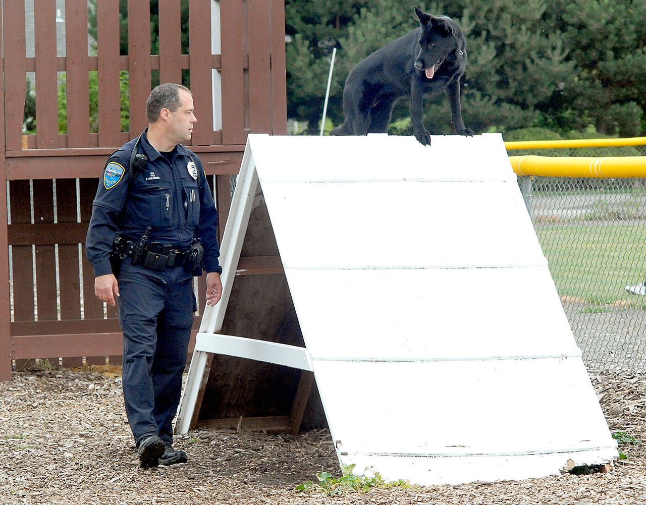 PHOTO: Sequim dog park celebrates its anniversary