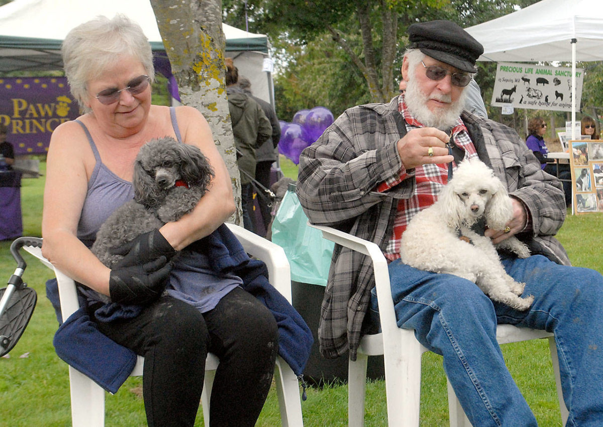 PHOTO: Sequim dog park celebrates its anniversary | Peninsula Daily News