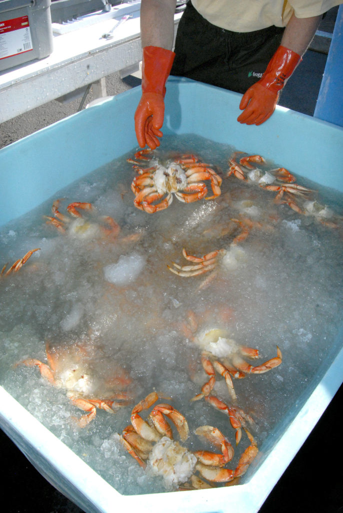 Crabfest Gears Up For Big Weekend In Port Angeles Peninsula Daily News 0940