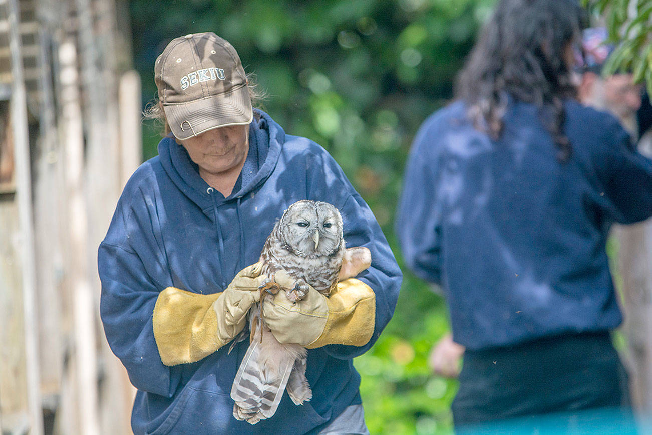 Raptor Center to close, eventually: After career of rescuing animals, Jaye Moore slowing down