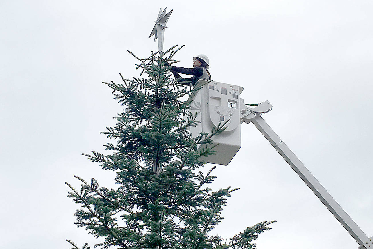 O Christmas tree: Port Angeles workers decorate at Dyar Fountain