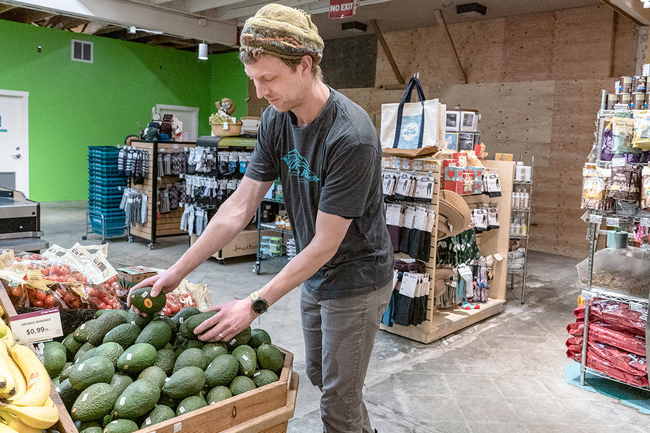 PHOTO: Aloha, avocados in Port Townsend