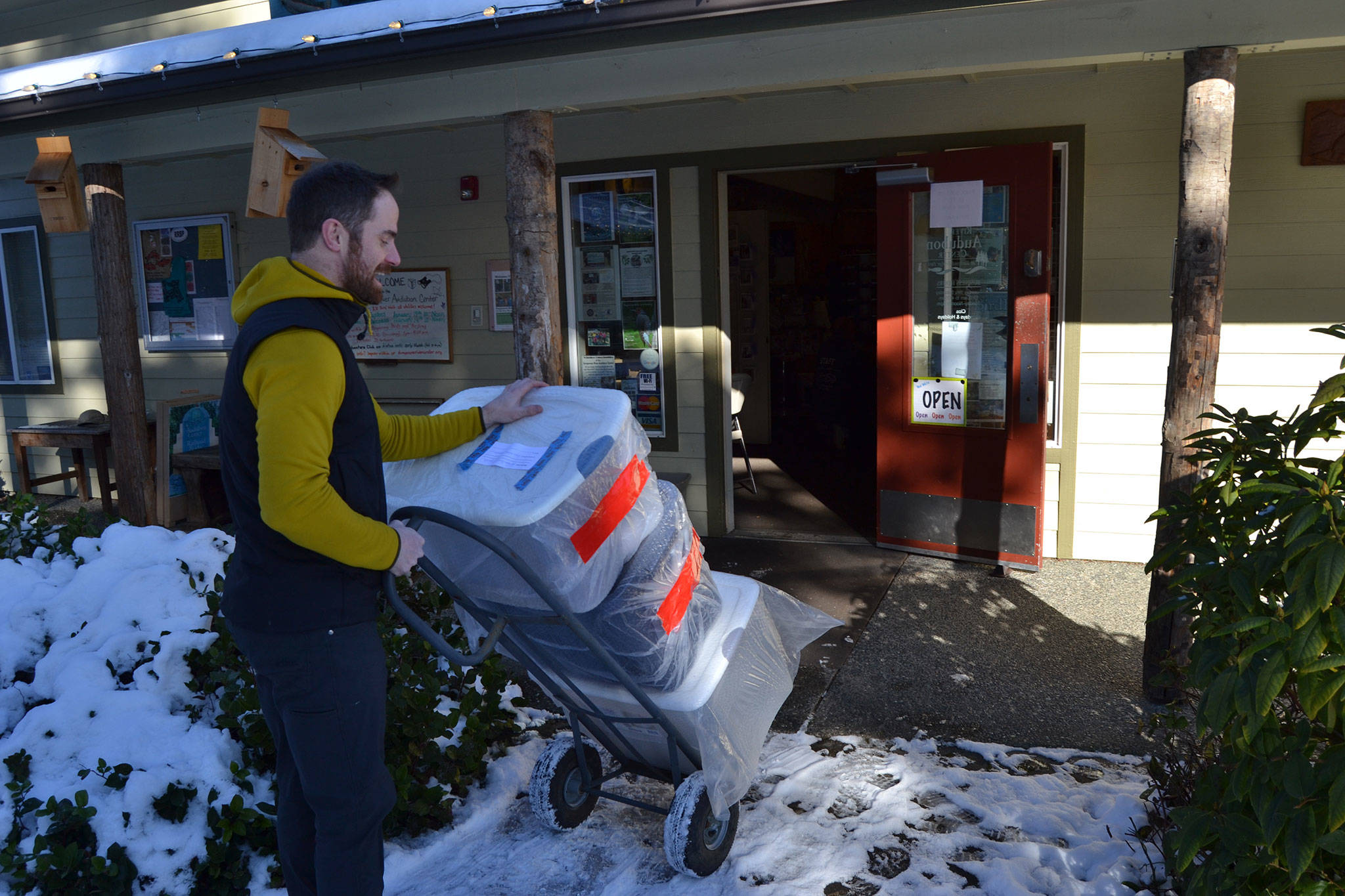 Powell Jones, the Dungeness River Audubon Center’s executive director, moves some boxes of mounted animals back into the center after 700 mounts were frozen to prevent any drugstore beetles from eating the taxidermy. (Matthew Nash/Olympic Peninsula News Group)