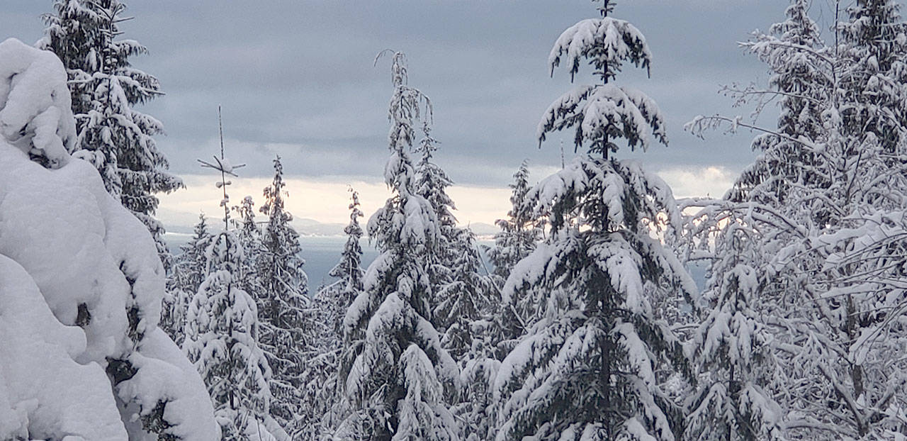 A view draped in snow off Black Diamond Road, elevation of 994 feet, in Port Angeles this week. (Andrew May/Peninsula Daily News)