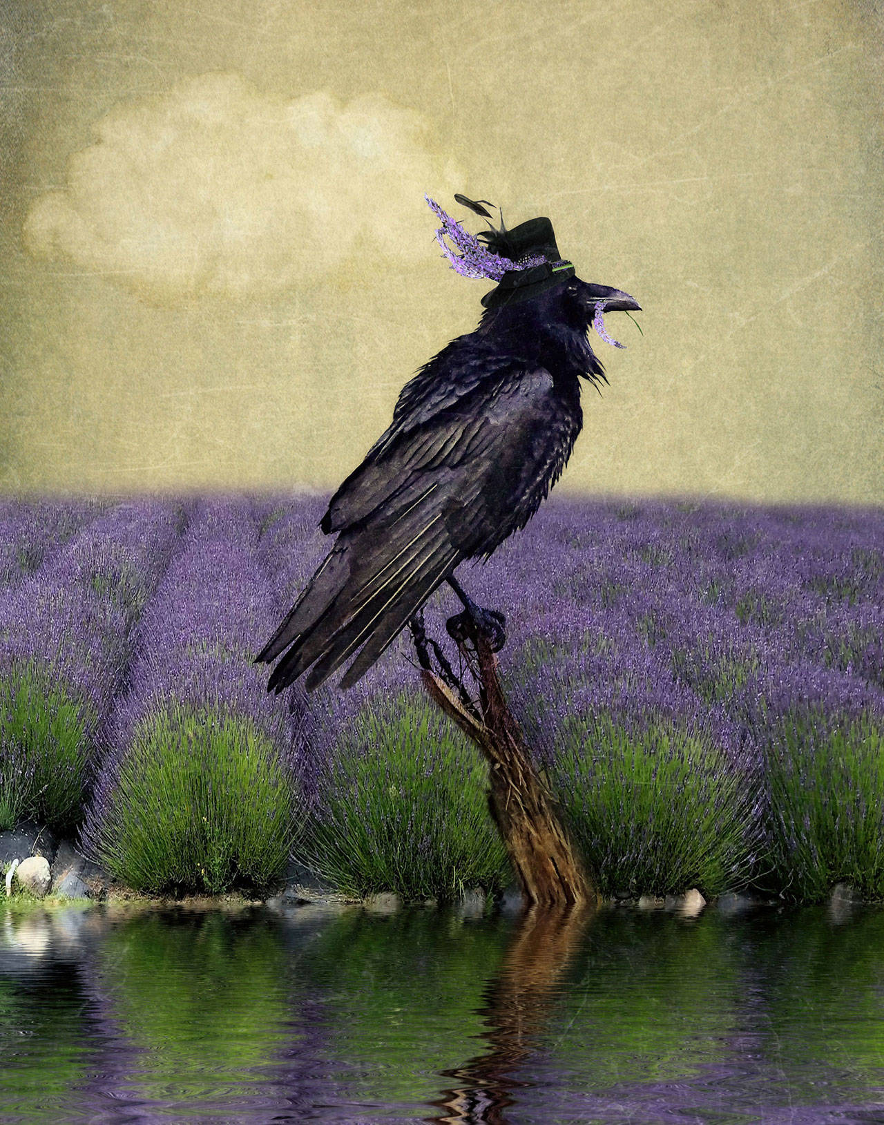 Patricia Jollimore’s “For My Hat” was selected as the winner of the Sequim Lavender Festival Art Contest for the 2019 event.